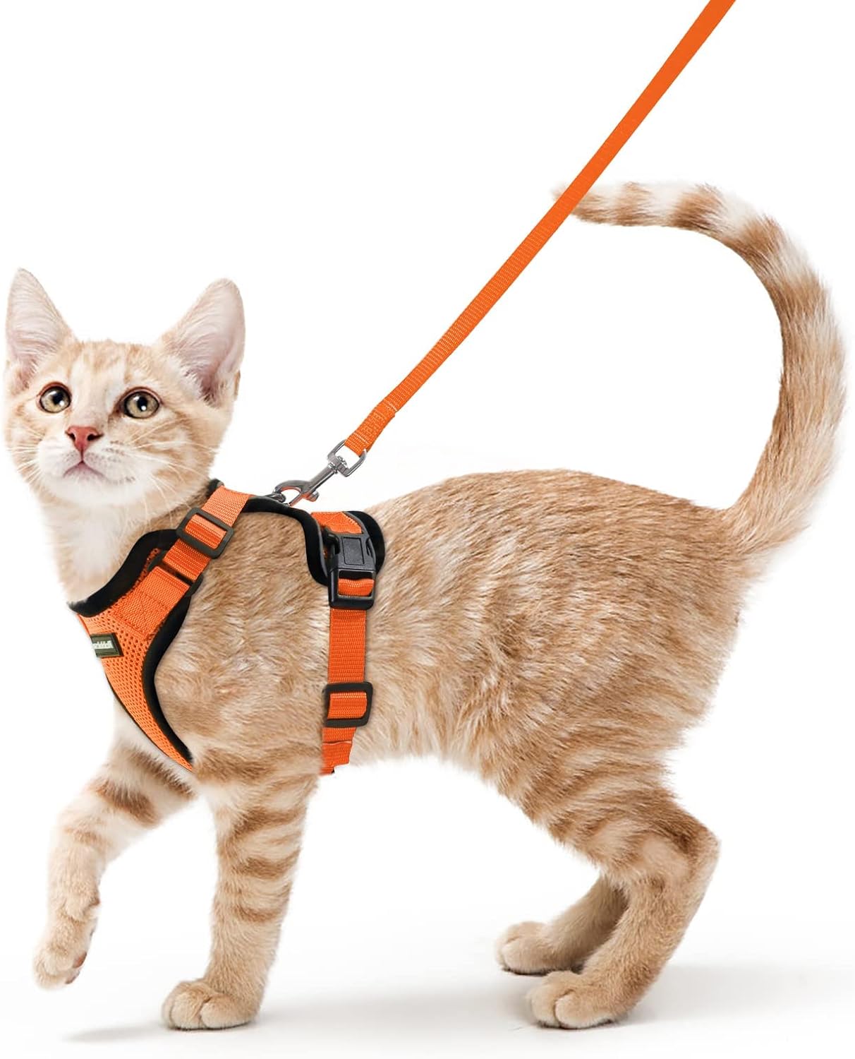 rabbitgoo Cat Harness and Lead Set, Escape Proof | PetNestUK