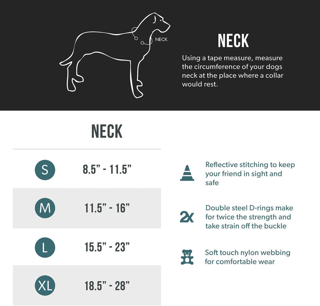 EzyDog Double Up Adjustable Dog Collar