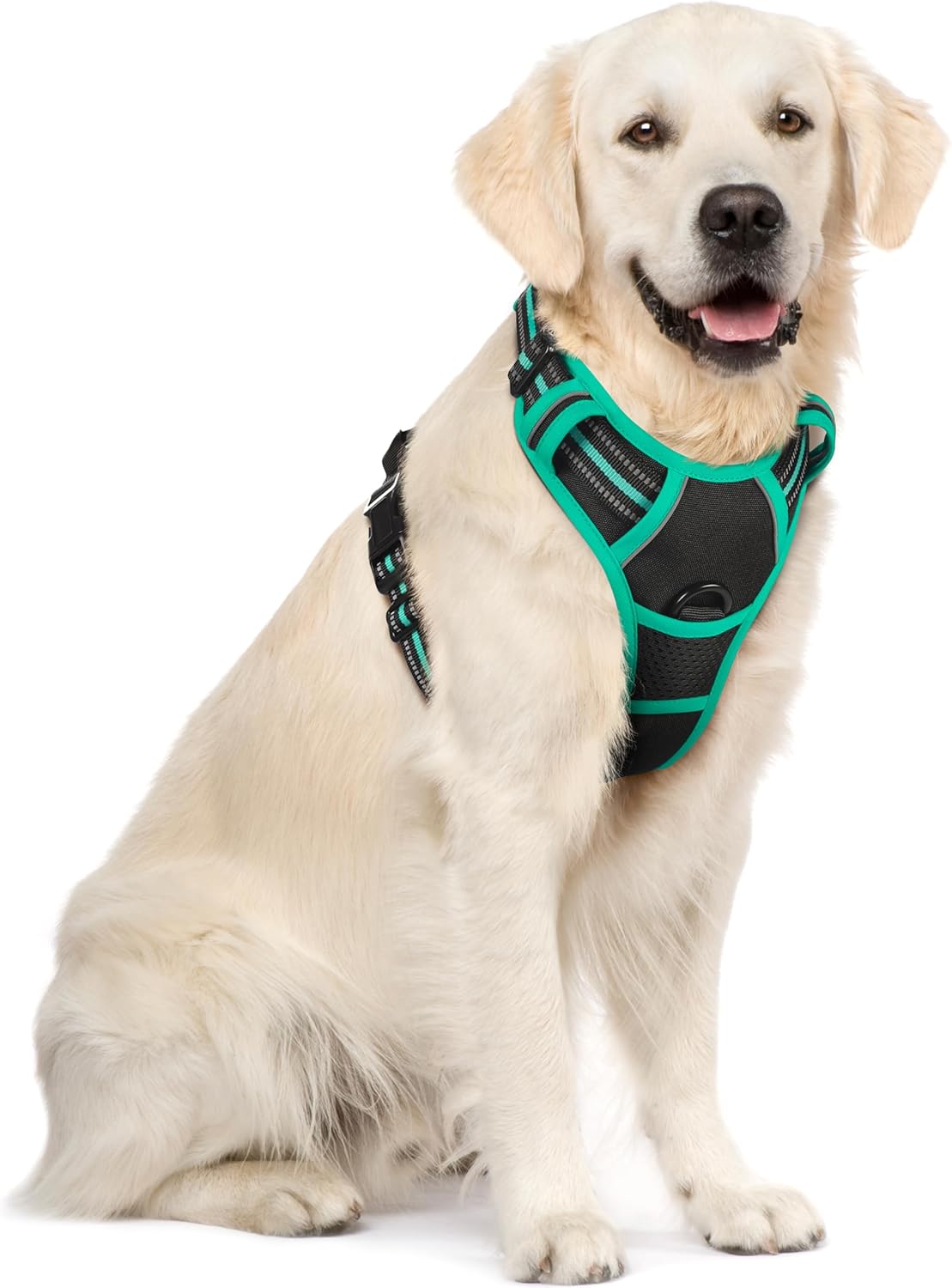 rabbitgoo Padded Dog Harness with Two Lead Clips