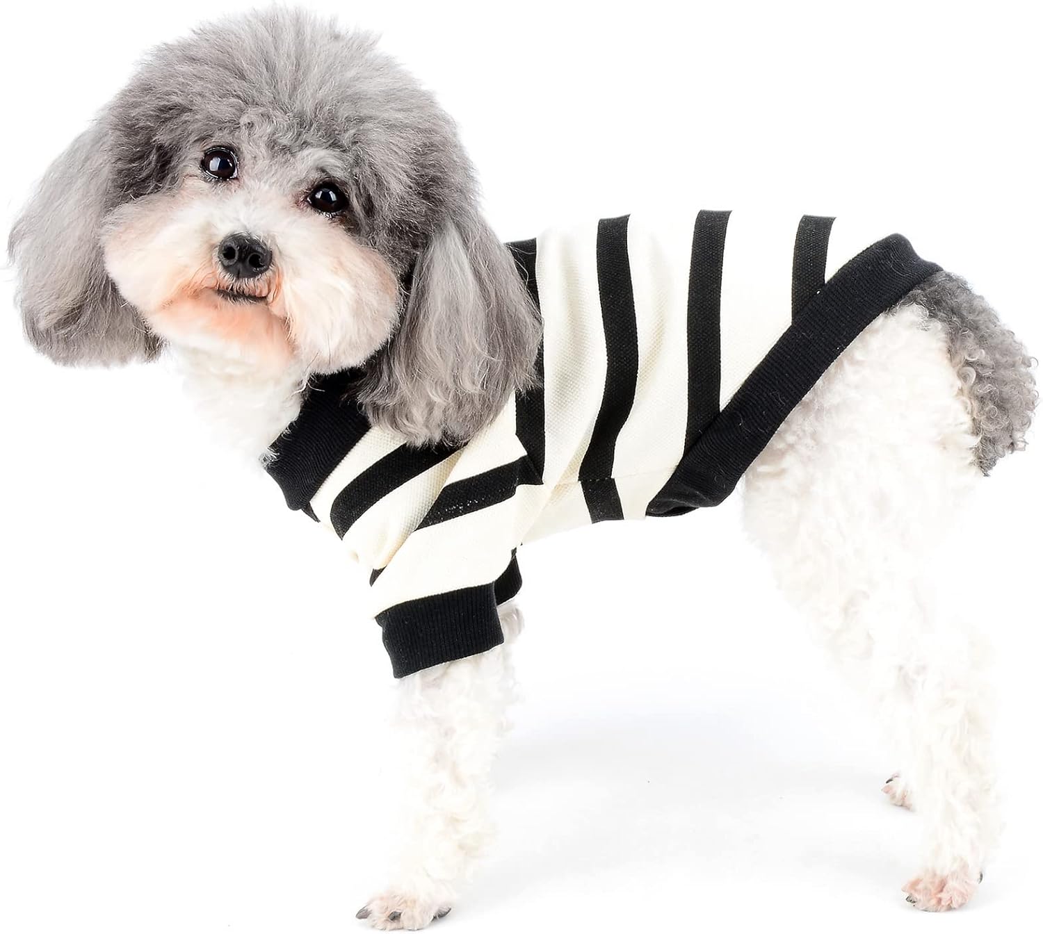 Zunea Dog Shirts for Small Dogs Summer Basic | PetNestUK