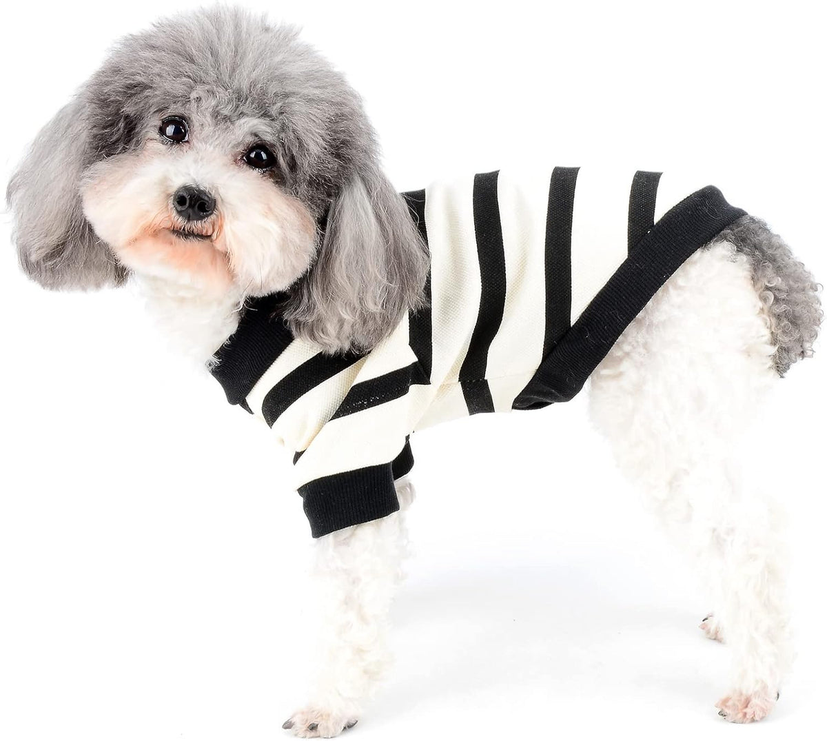 Zunea Lightweight Shirts for Small Dogs