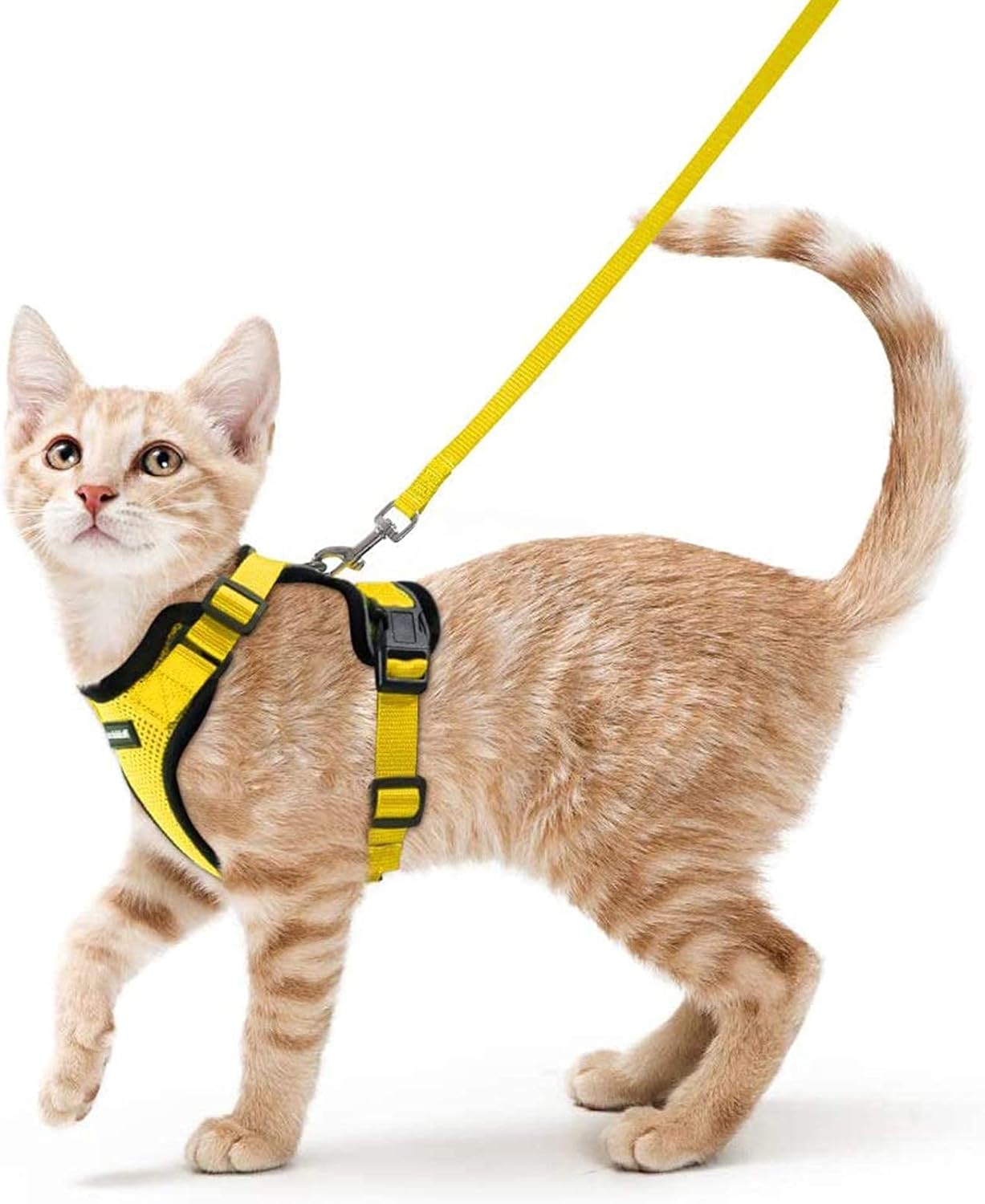 rabbitgoo Cat Harness and Lead Set, Escape Proof | PetNestUK