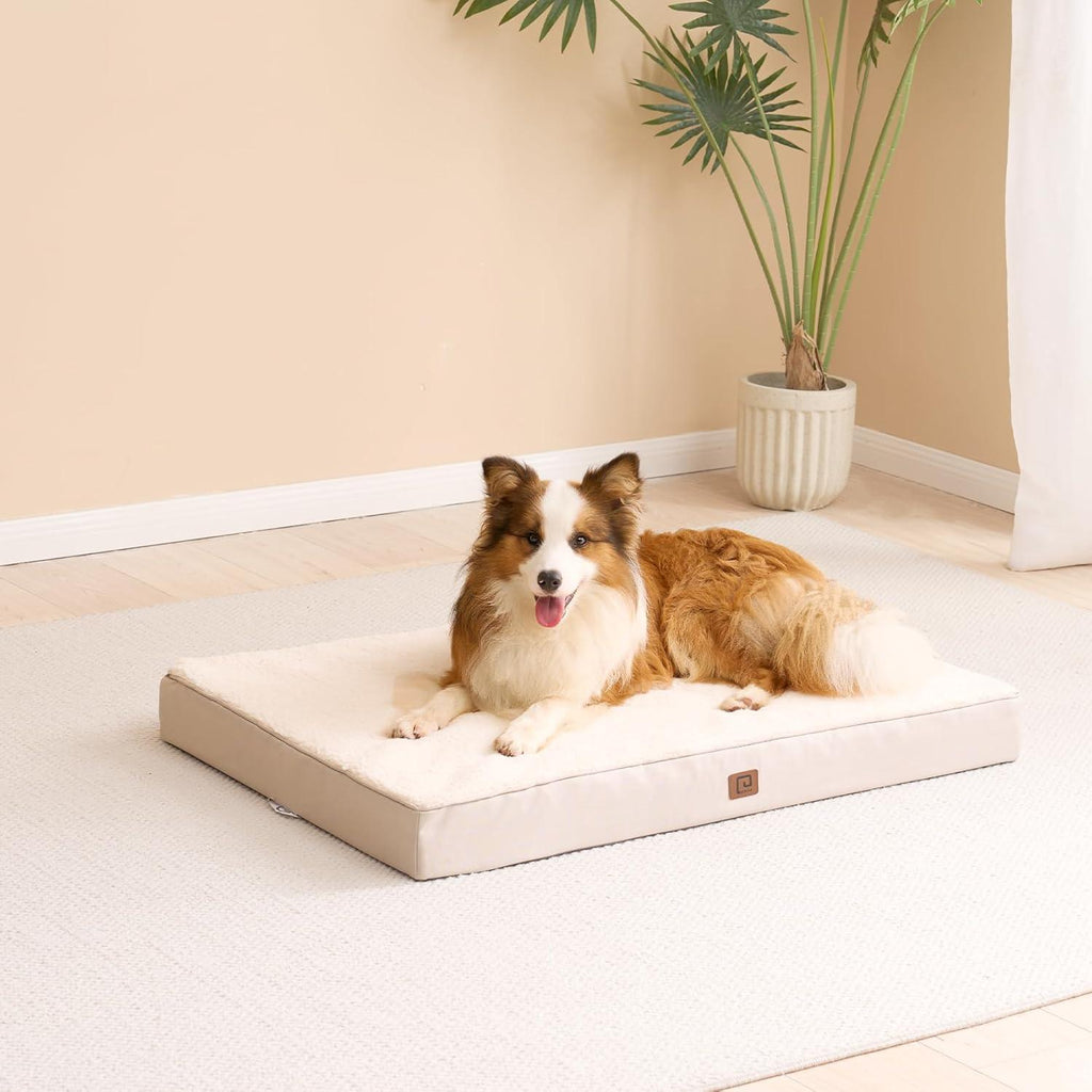 EHEYCIGA Orthopedic Dog Beds Small, Medium, | PetNestUK