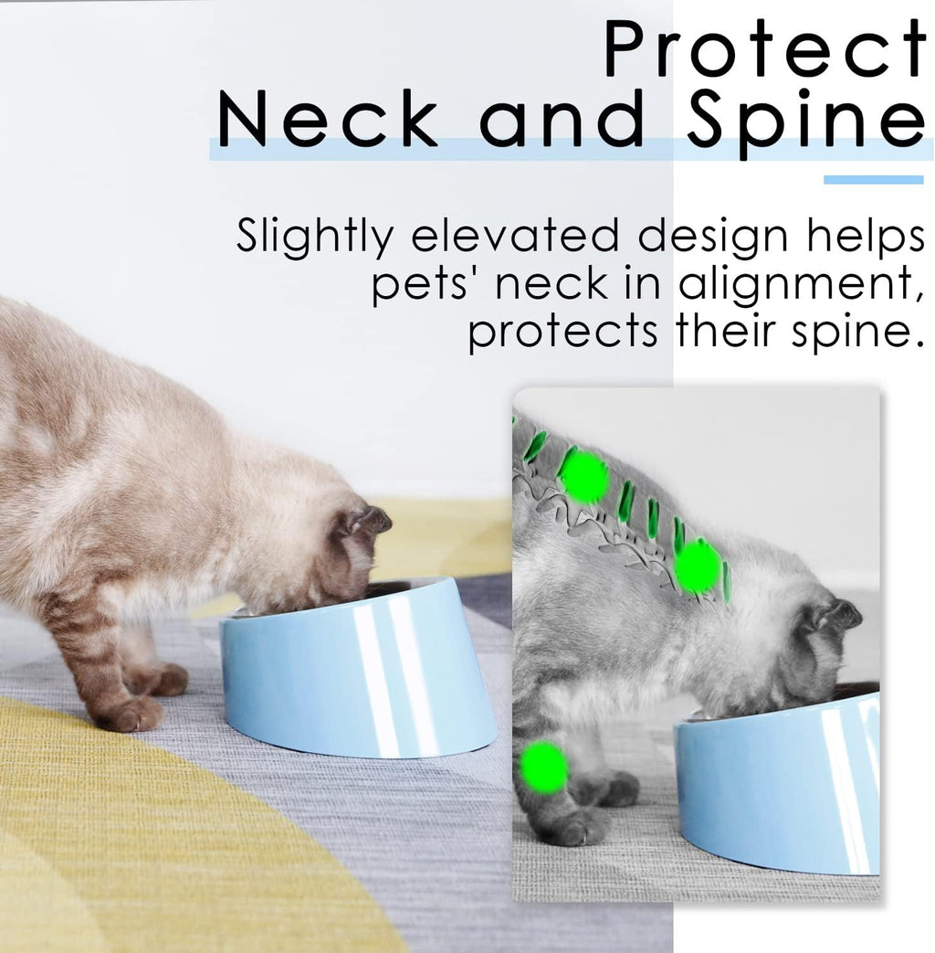 SuperDesign Mess Free 15° Slanted Bowl for Dogs | PetNestUK