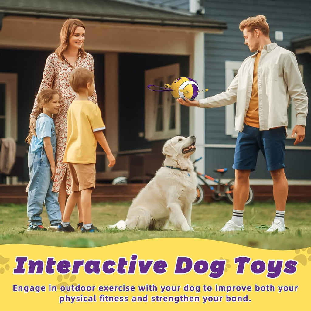 HETOO Interactive Dog Football Toys with Grab | PetNestUK