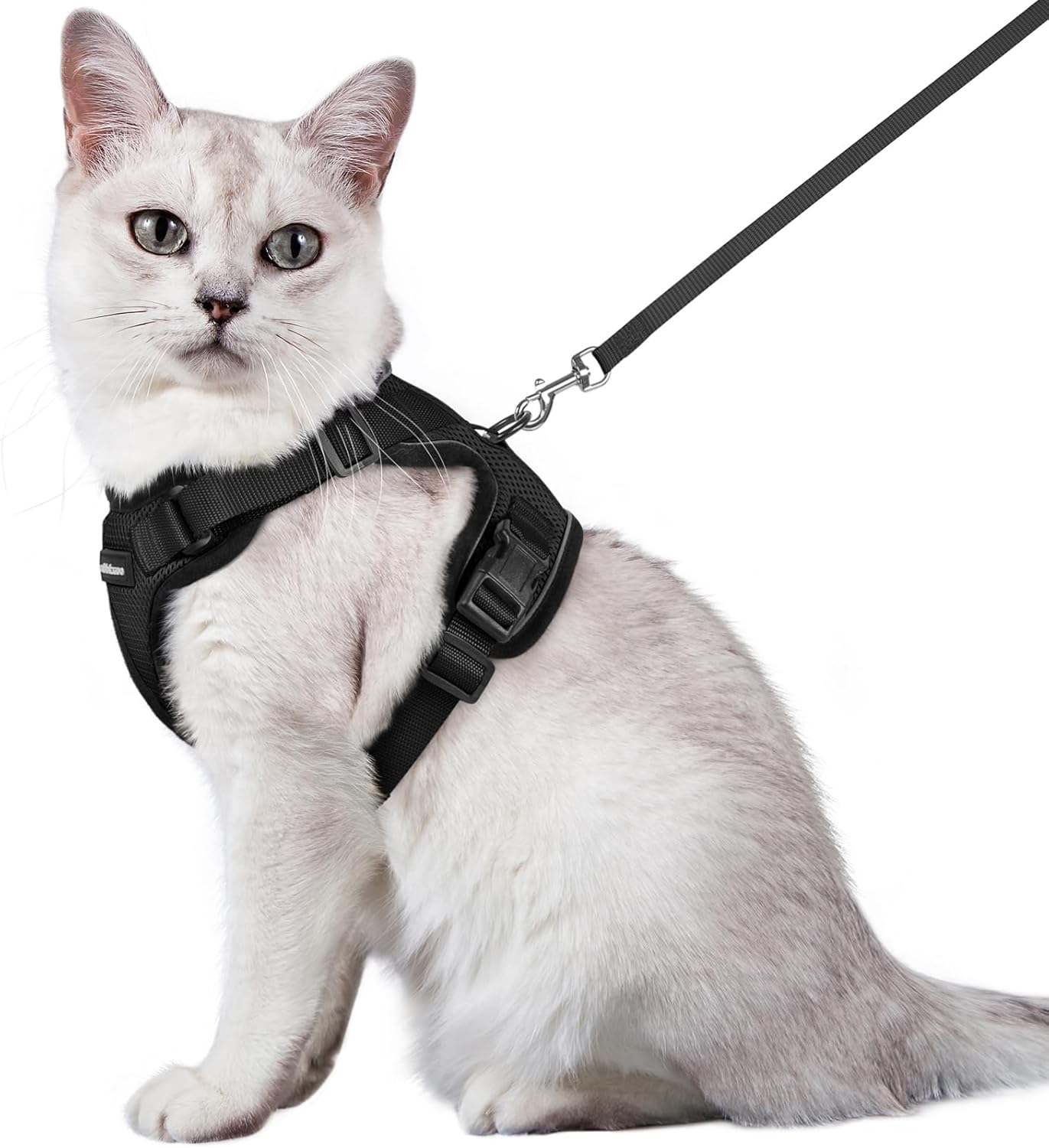rabbitgoo Cat Harness and Lead Set, Escape Proof | PetNestUK