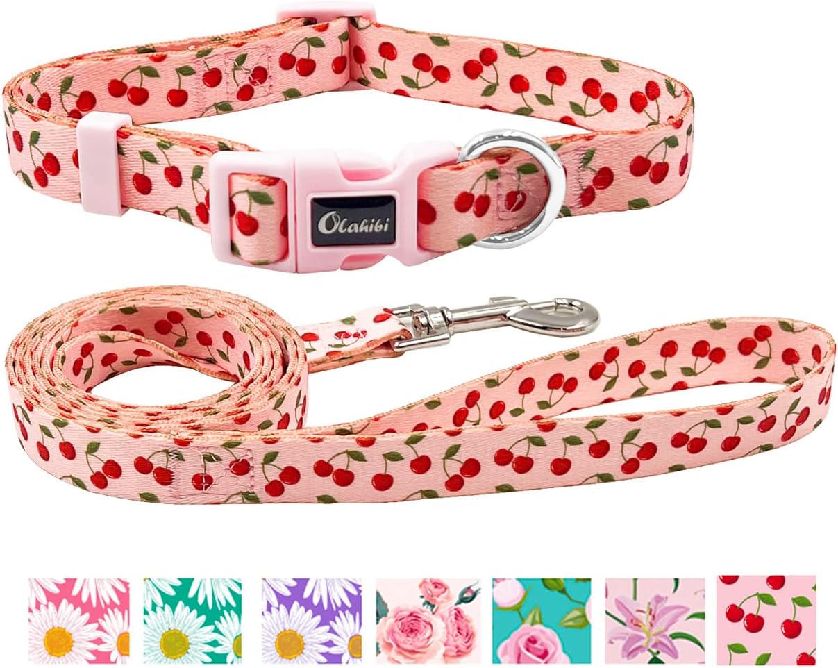 Olahibi Daisy Pattern Dog Collar and Leash | PetNestUK