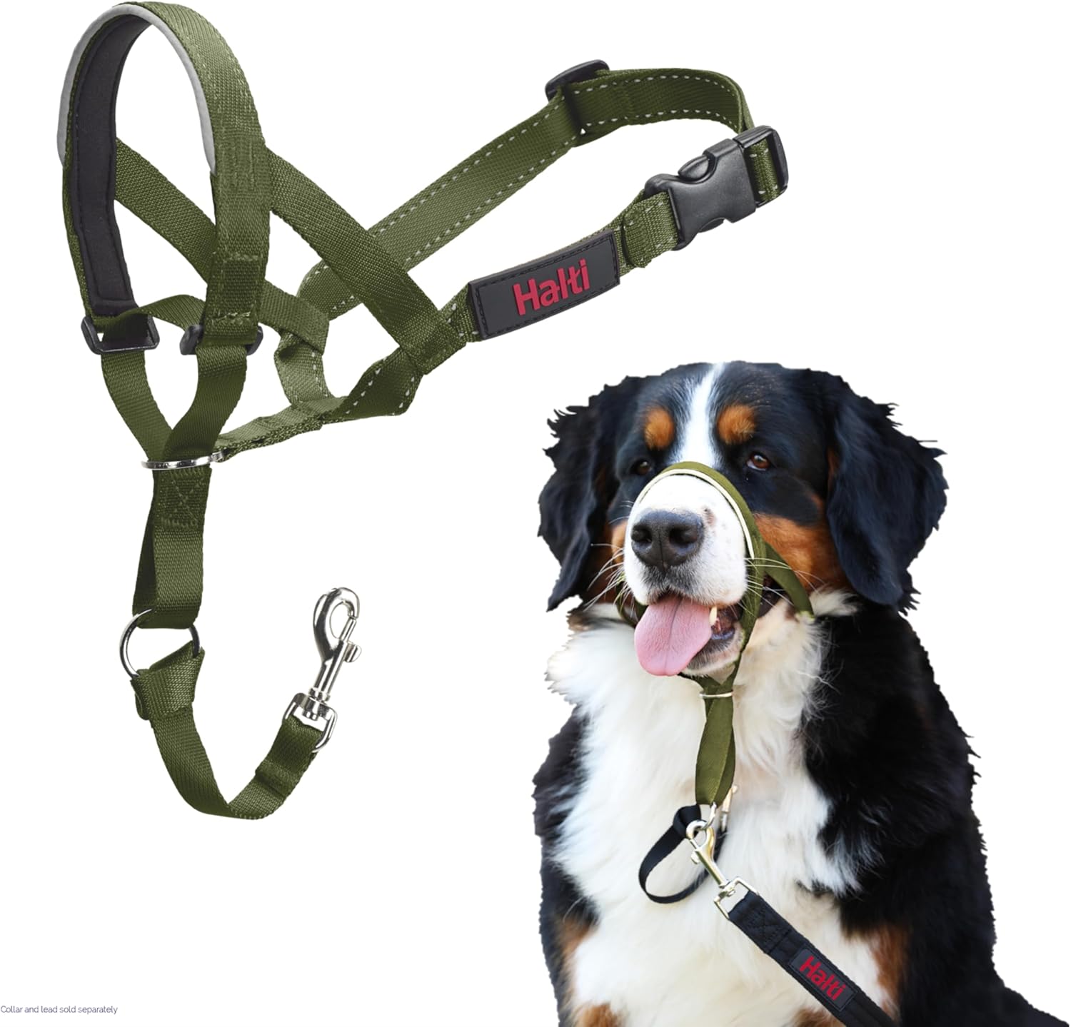 HALTI Headcollar, UK Bestselling Harness to Stop | PetNestUK