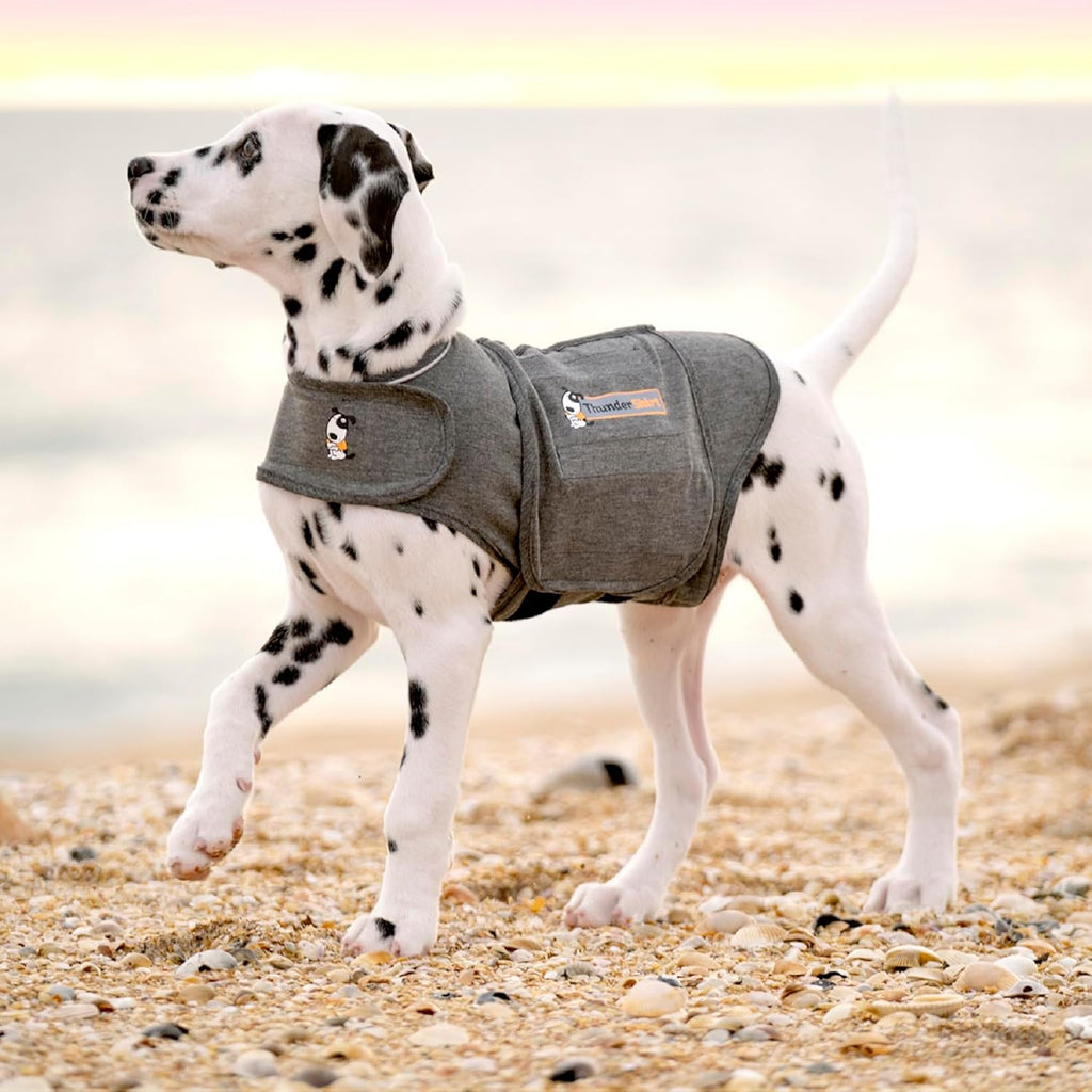 ThunderShirt for Dogs | PetNestUK