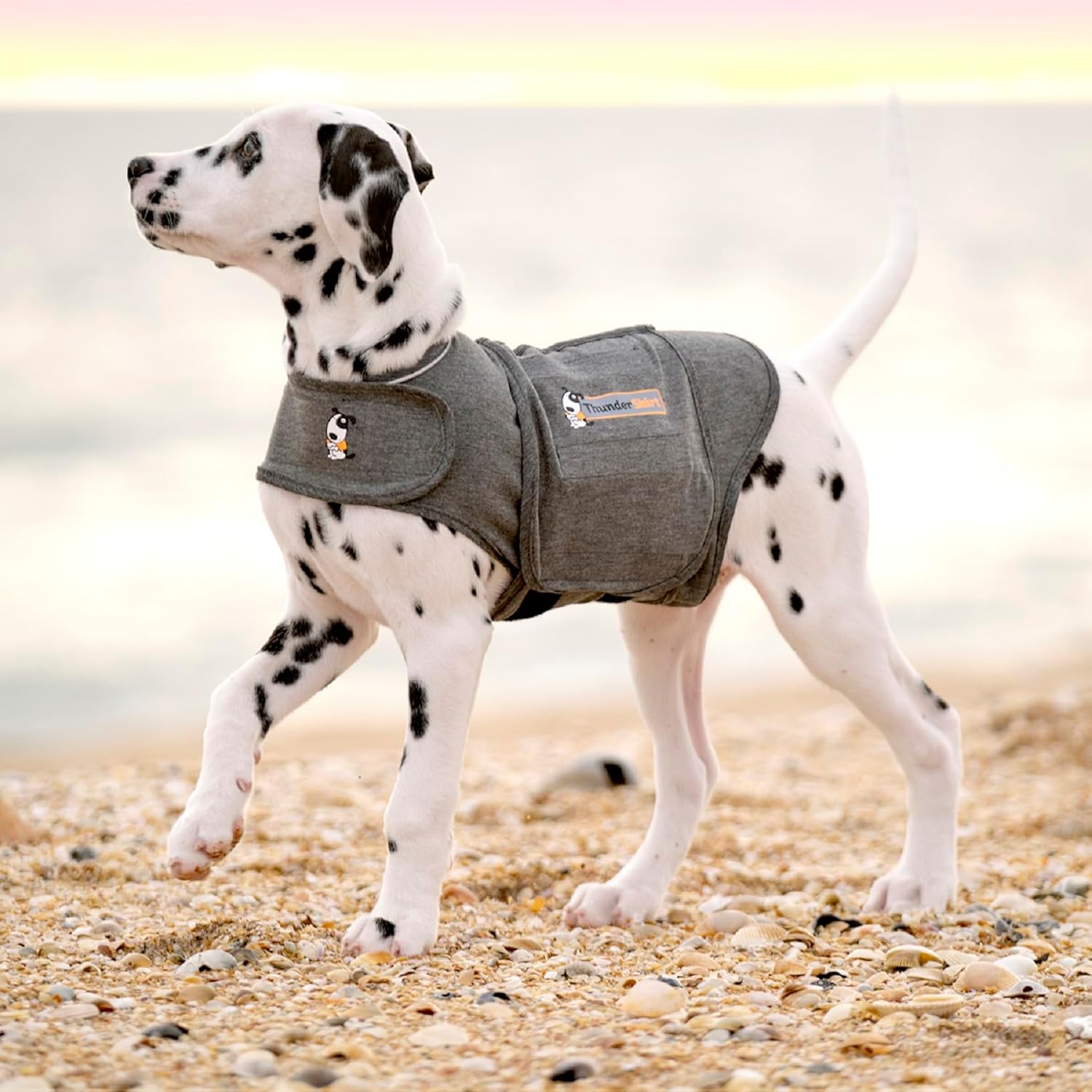 ThunderShirt for Dogs | PetNestUK