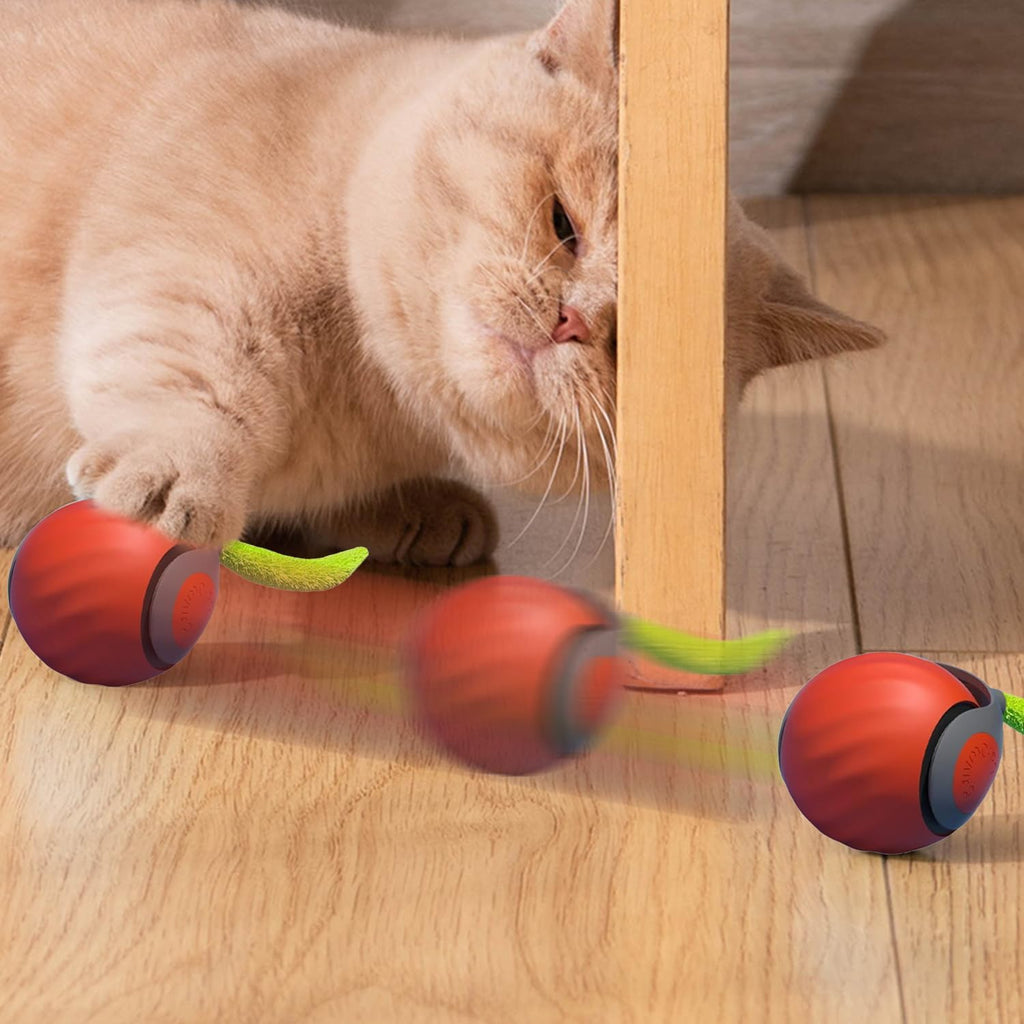 Speedy Tail Cat Toy, Speedy Tail 2.0, Smart | PetNestUK