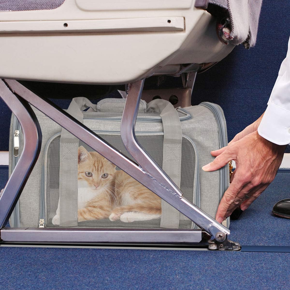 Qlfyuu Foldable Soft-Sided Pet Carrier