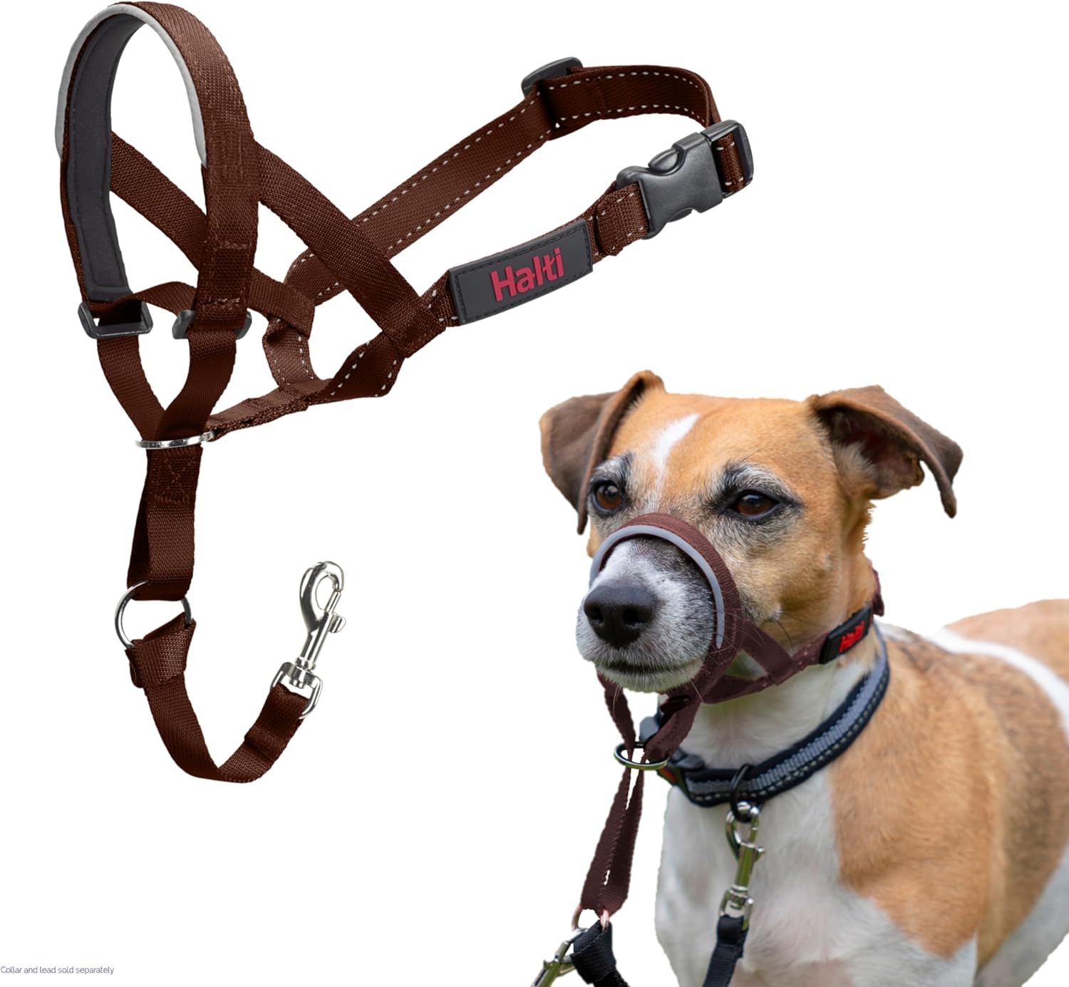 HALTI Headcollar, UK Bestselling Harness to Stop | PetNestUK