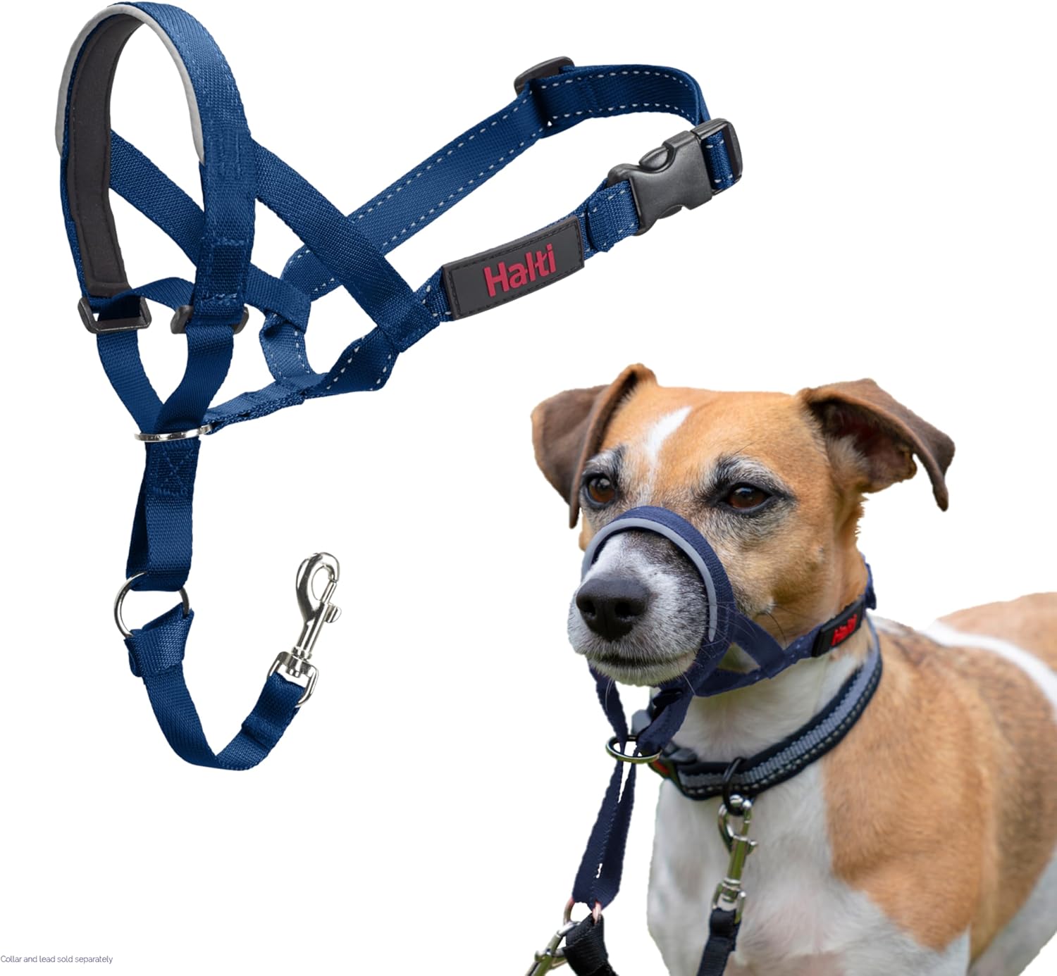 HALTI Headcollar, UK Bestselling Harness to Stop | PetNestUK