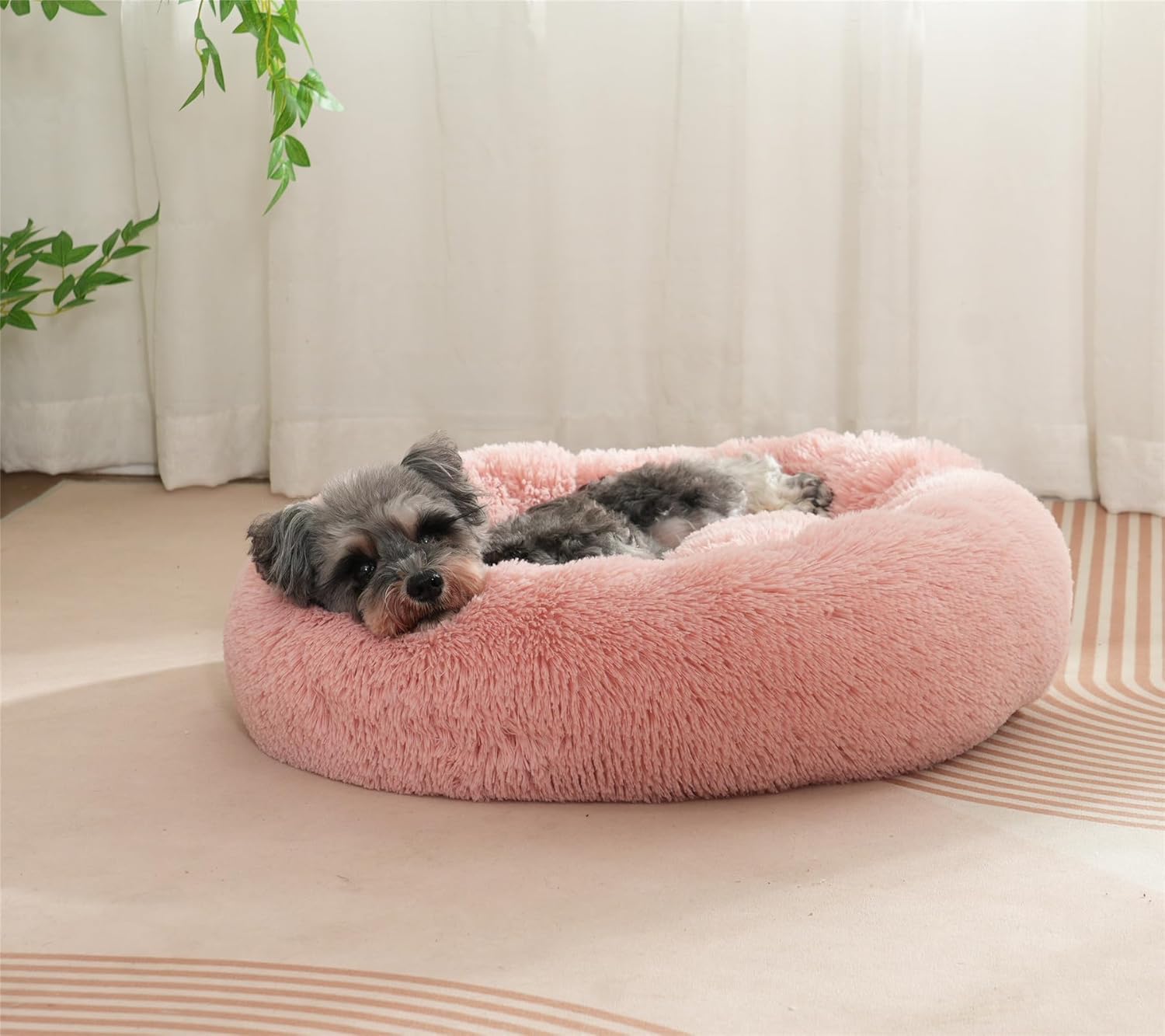 Enjamoy Plush Donut Dog Bed, Calming Round Dog | PetNestUK