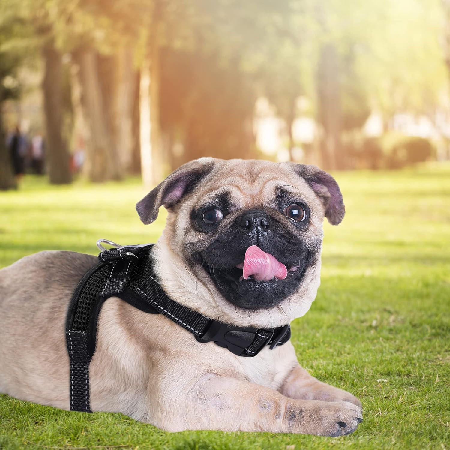 Dog Harness Mesh Breathable Comfortable Pet Vest | PetNestUK