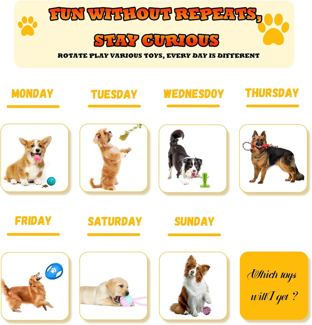 Leipple 20 Pack Luxury Dog Chew Toys for Puppy, | PetNestUK