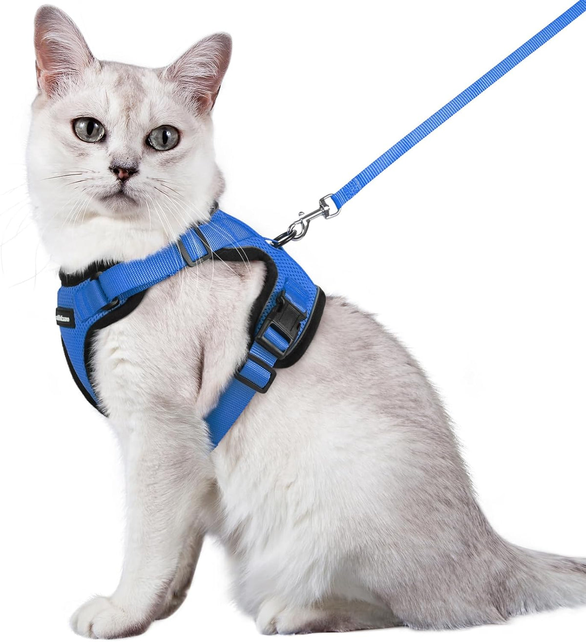 rabbitgoo Adjustable Cat Harness and Lead Set