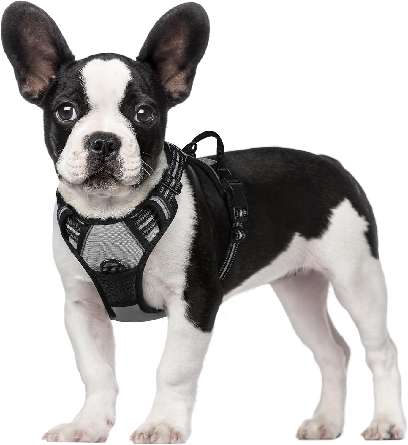 rabbitgoo Dog Harness Dog No Pull Pet Harness | PetNestUK
