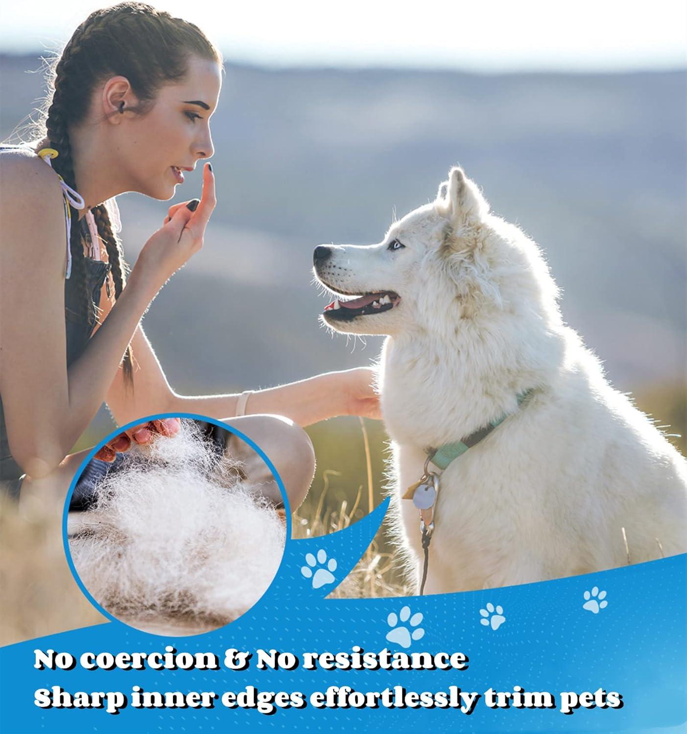 Morpilot Dog Brush Cat Brush Grooming Comb, | PetNestUK