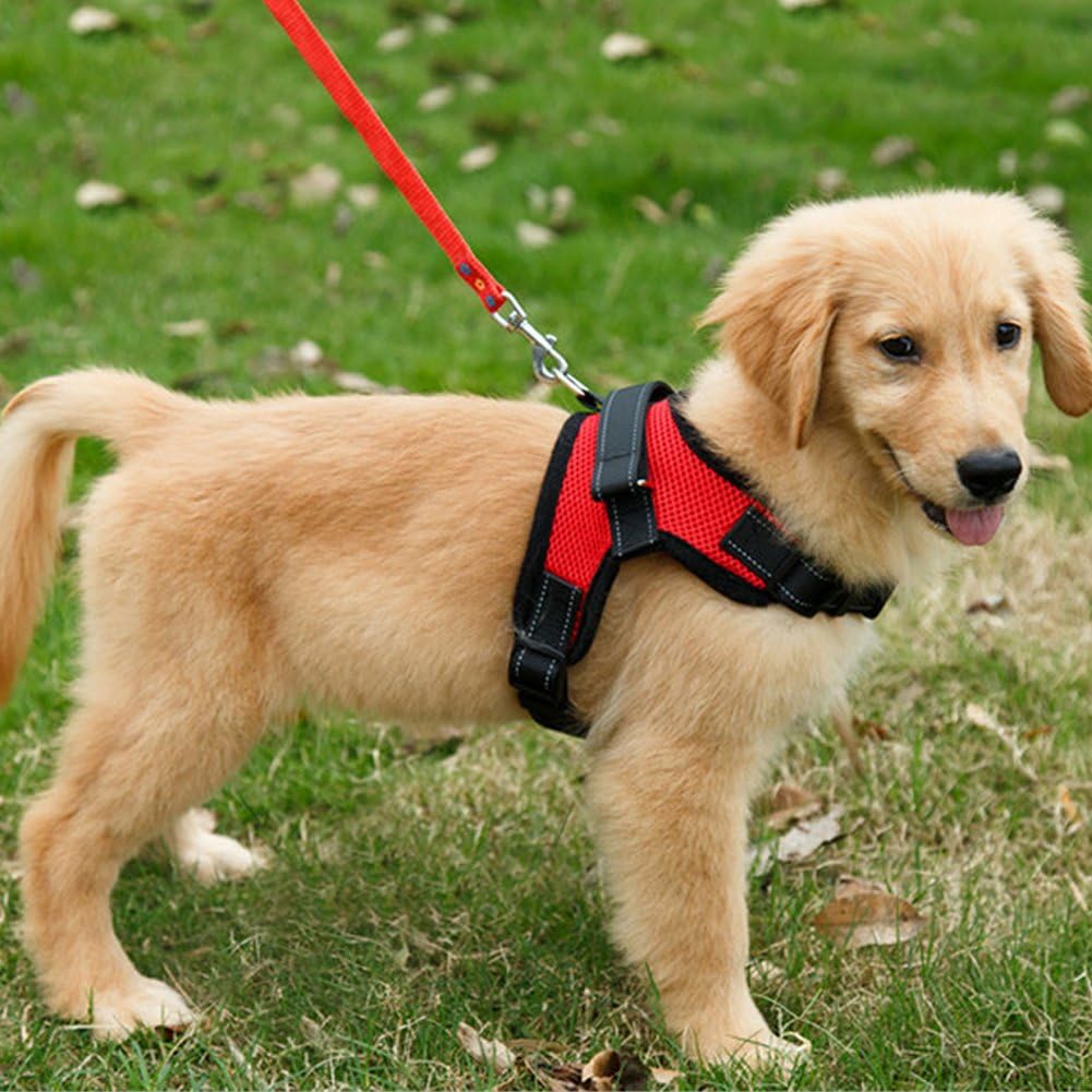 Dog Harness Mesh Breathable Comfortable Pet Vest | PetNestUK