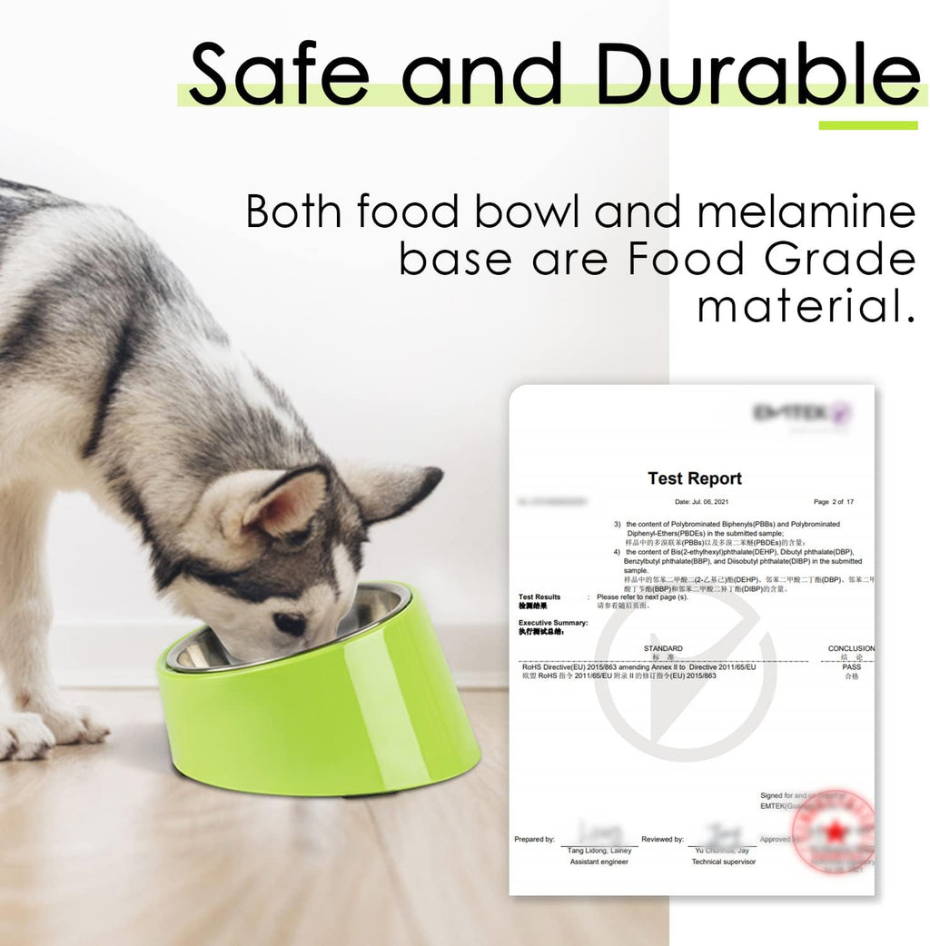 SuperDesign Slanted Stainless-Steel Pet Bowl