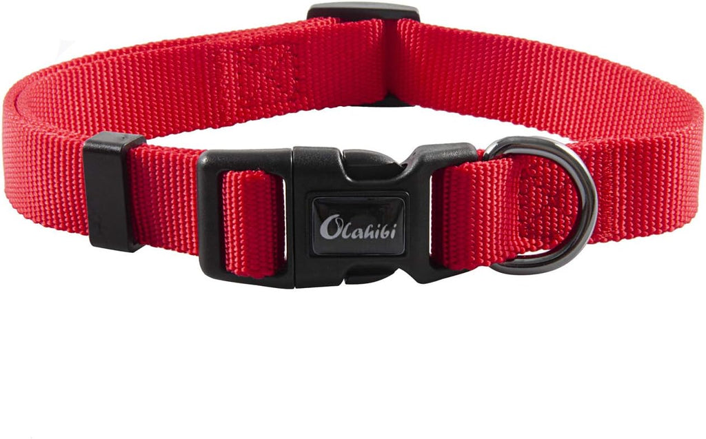 Olahibi Daisy Pattern Dog Collar and Leash | PetNestUK