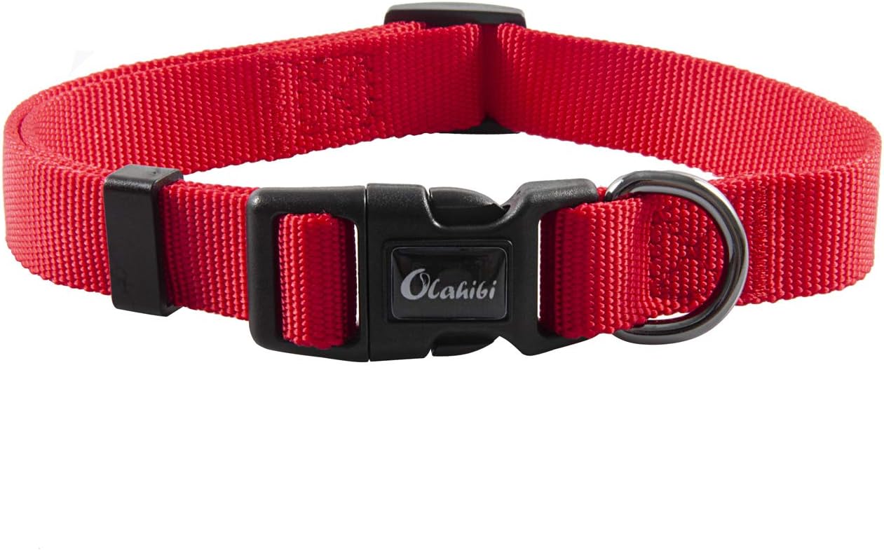 Olahibi Daisy Pattern Dog Collar and Leash | PetNestUK