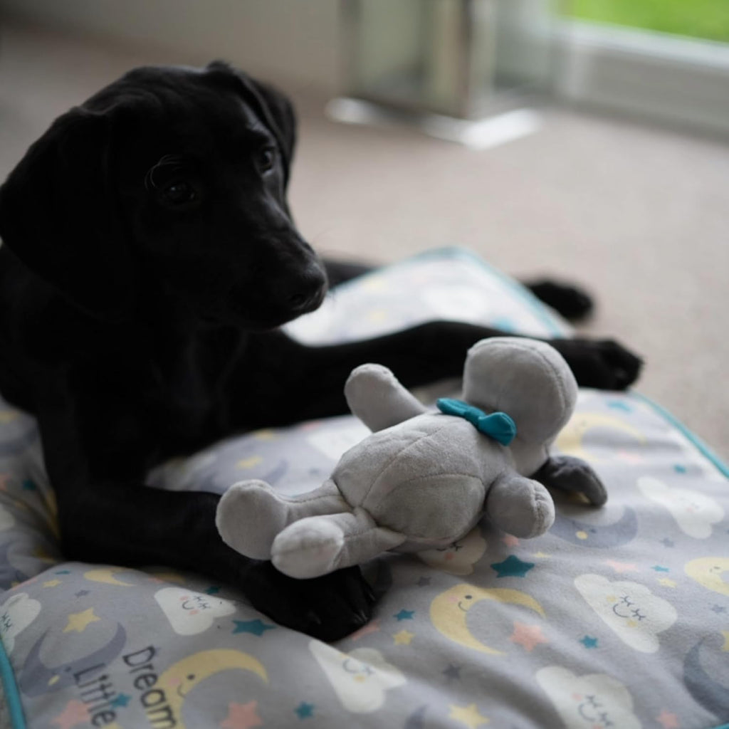 Little Petface Plush Puppy Toys