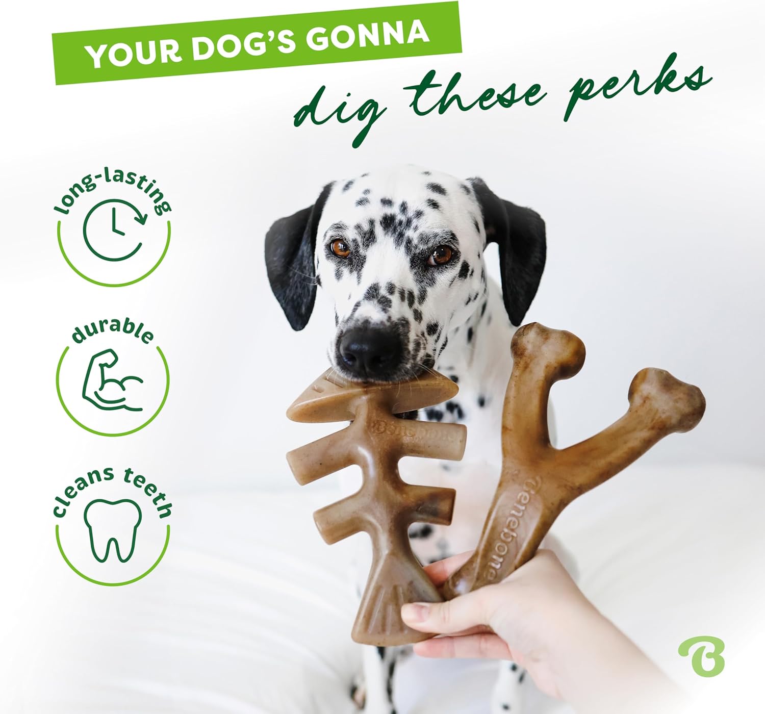 Benebone Durable Dog Chew Toy Box for Aggressive | PetNestUK