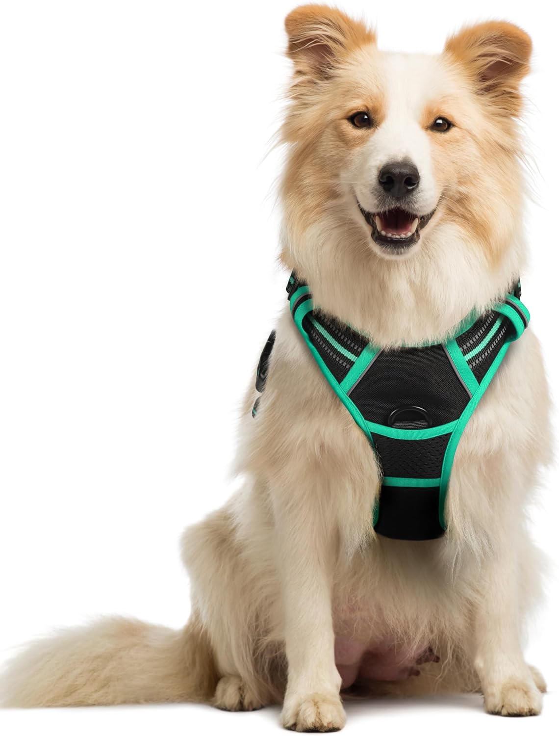 rabbitgoo Dog Harness Dog No Pull Pet Harness | PetNestUK