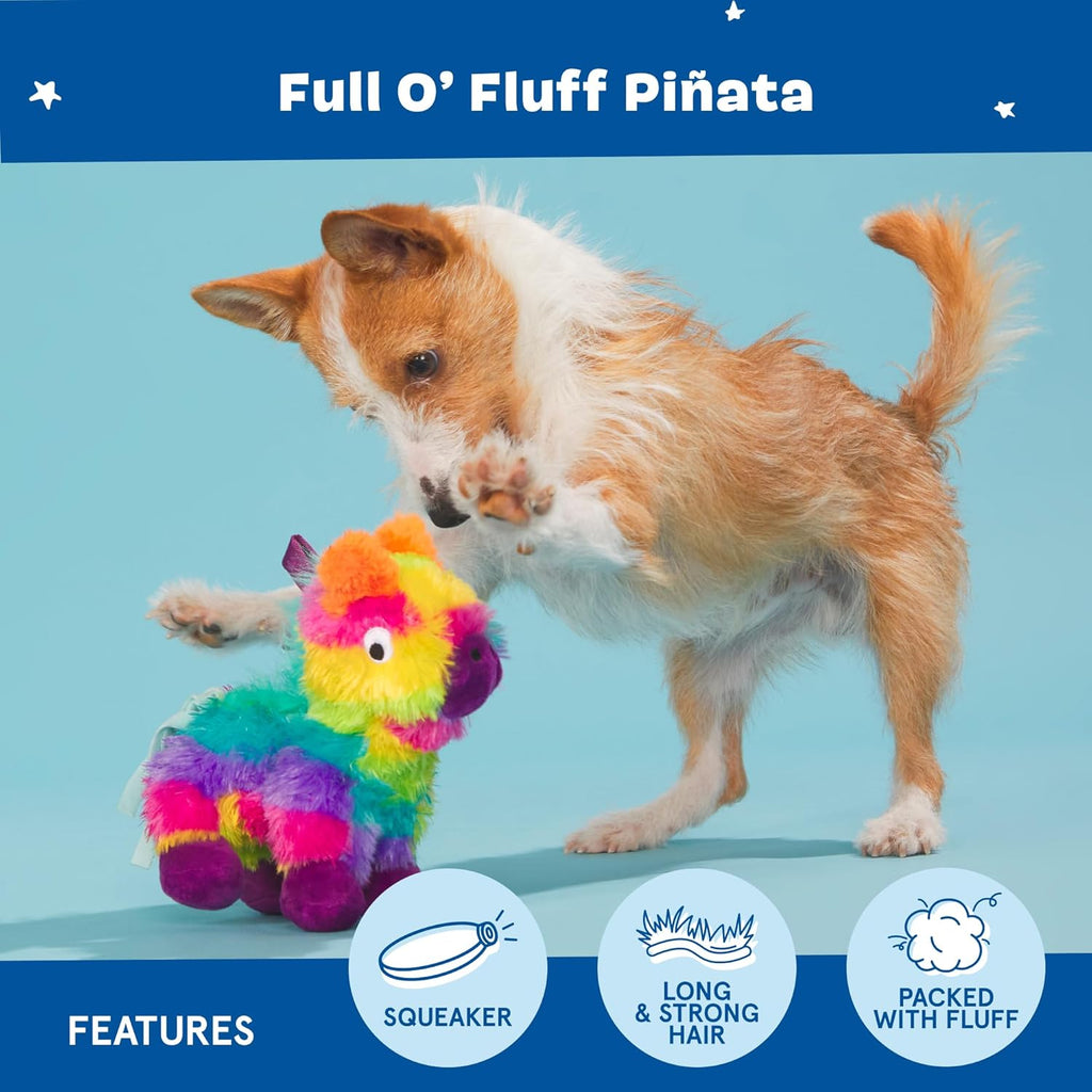 Barkbox Squeaky Dog Toys - Plush and Squeak Chew | PetNestUK