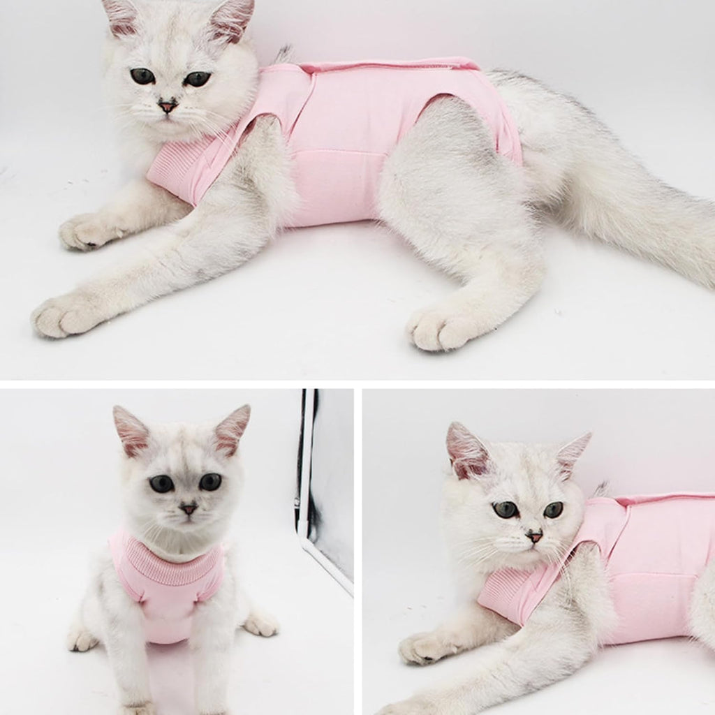 WDEC M 2-4kg Cat Professional Recovery Suit for | PetNestUK