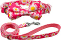 Olahibi Patterned Dog Collar and Lead Sets