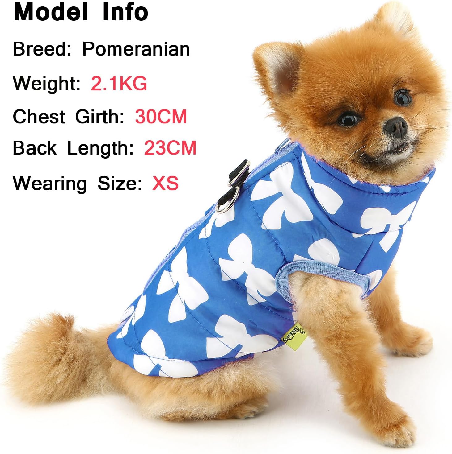 SMALLLEE_LUCKY_STORE Small Dog Cat Winter Coat | PetNestUK