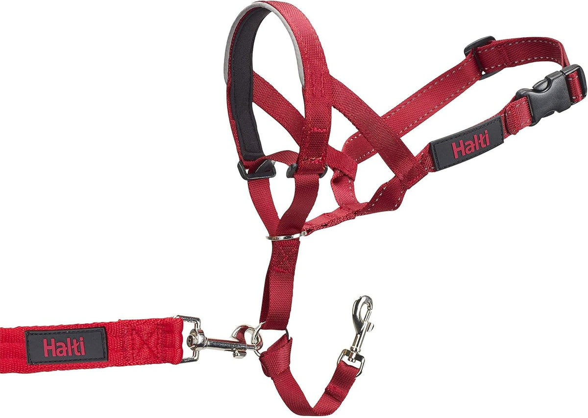 HALTI Adjustable Dog Headcollar