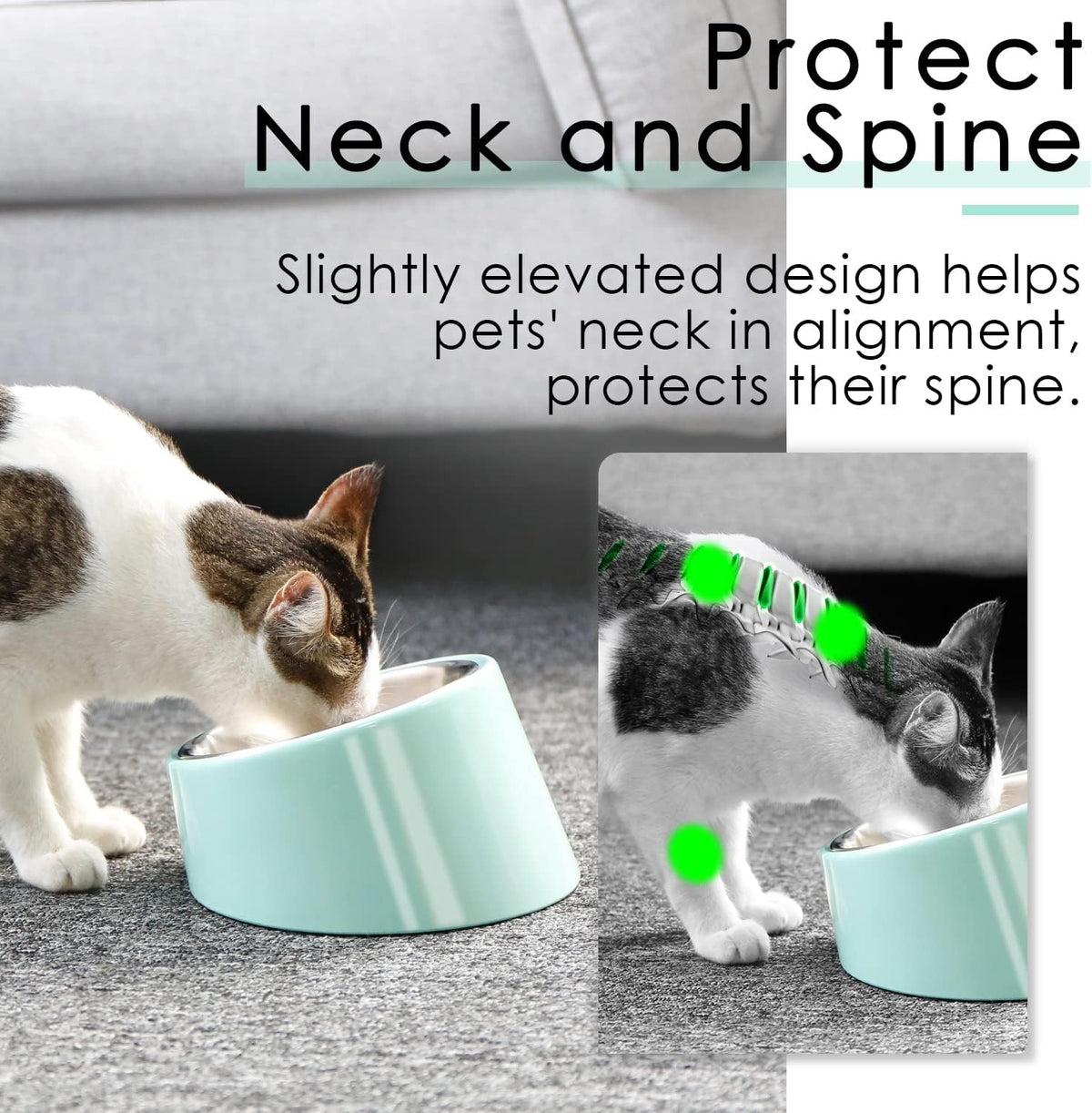 SuperDesign Slanted Stainless-Steel Pet Bowl