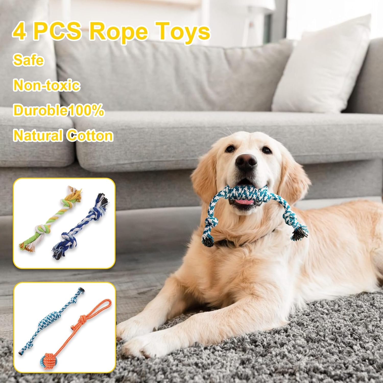 10 Pack Luxury Puppy Toys for Teething Small | PetNestUK