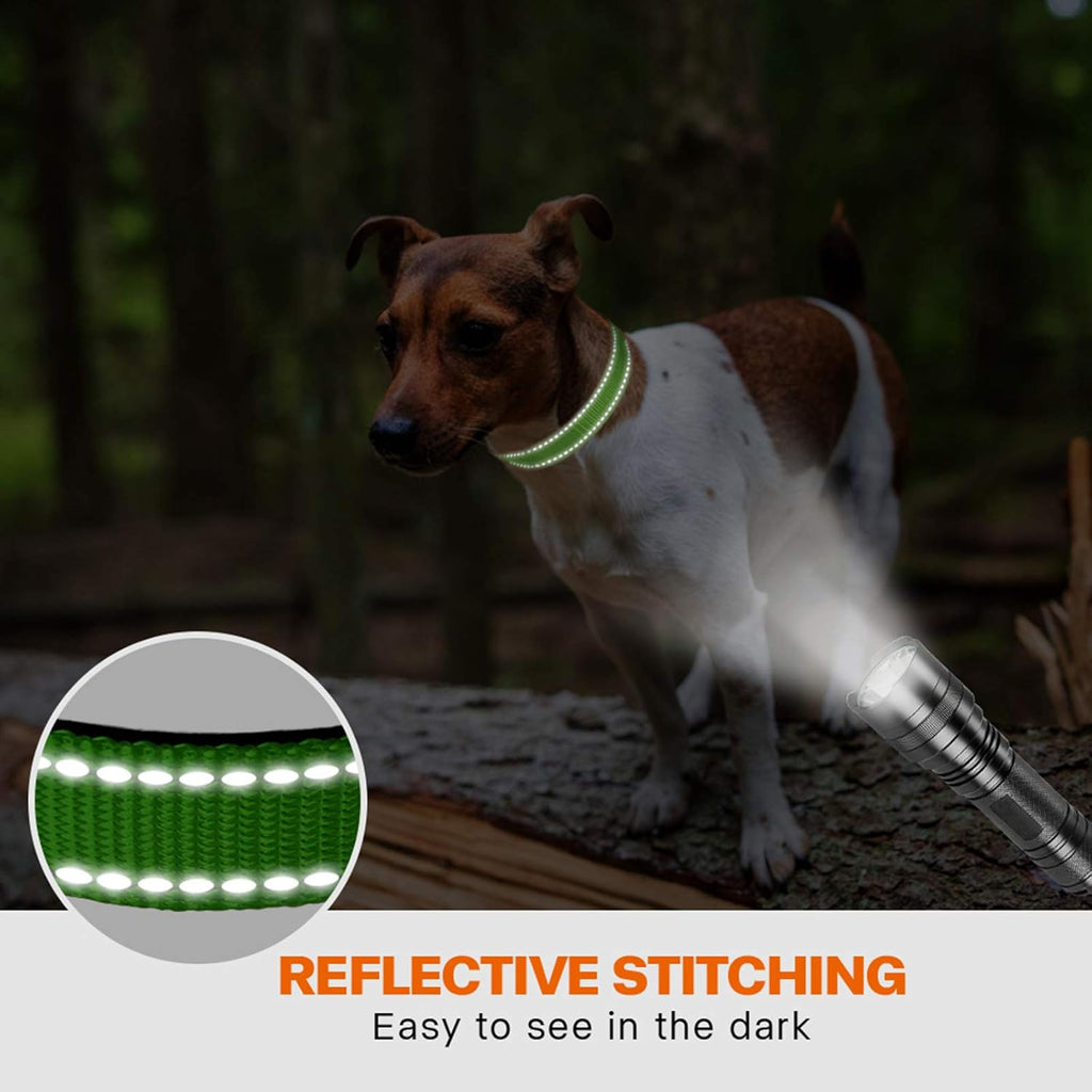 Taglory Reflective Nylon Dog Collar with Safety | PetNestUK