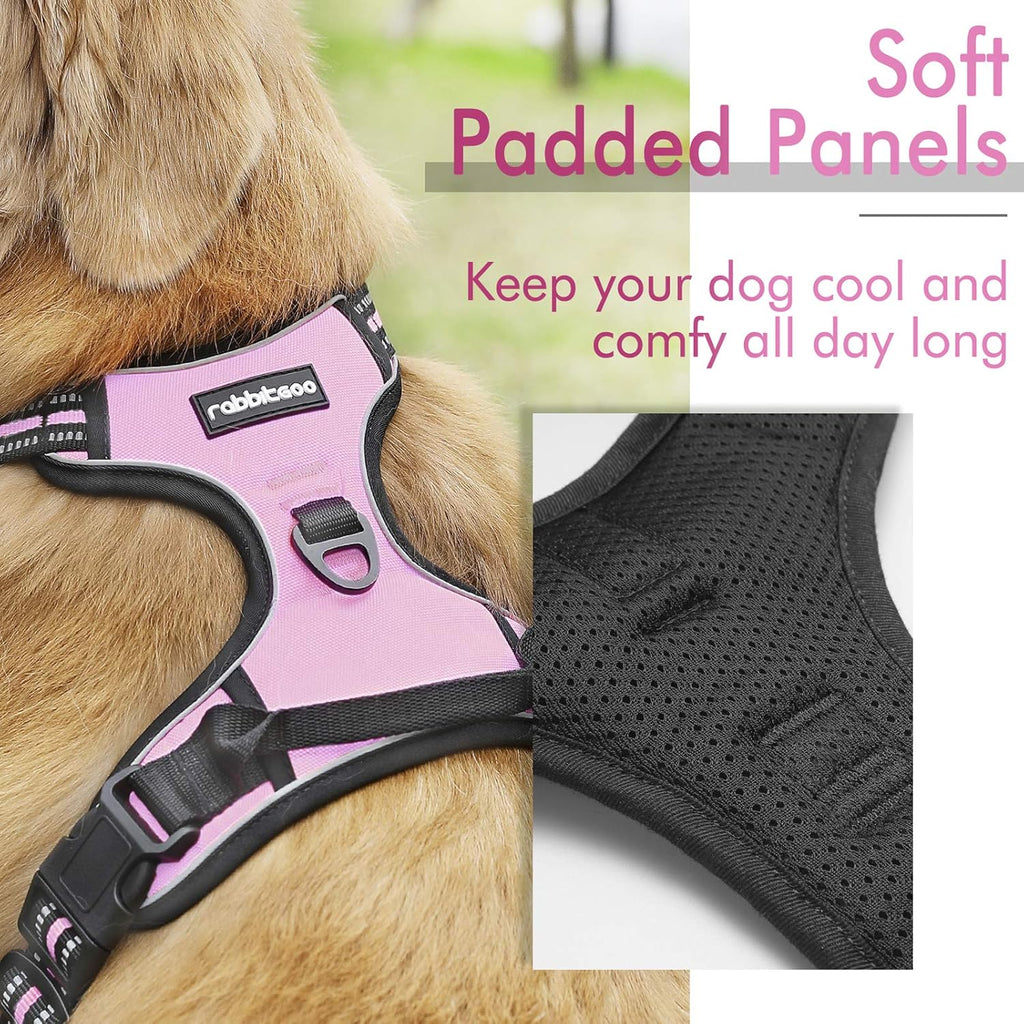 rabbitgoo Padded Dog Harness with Two Lead Clips