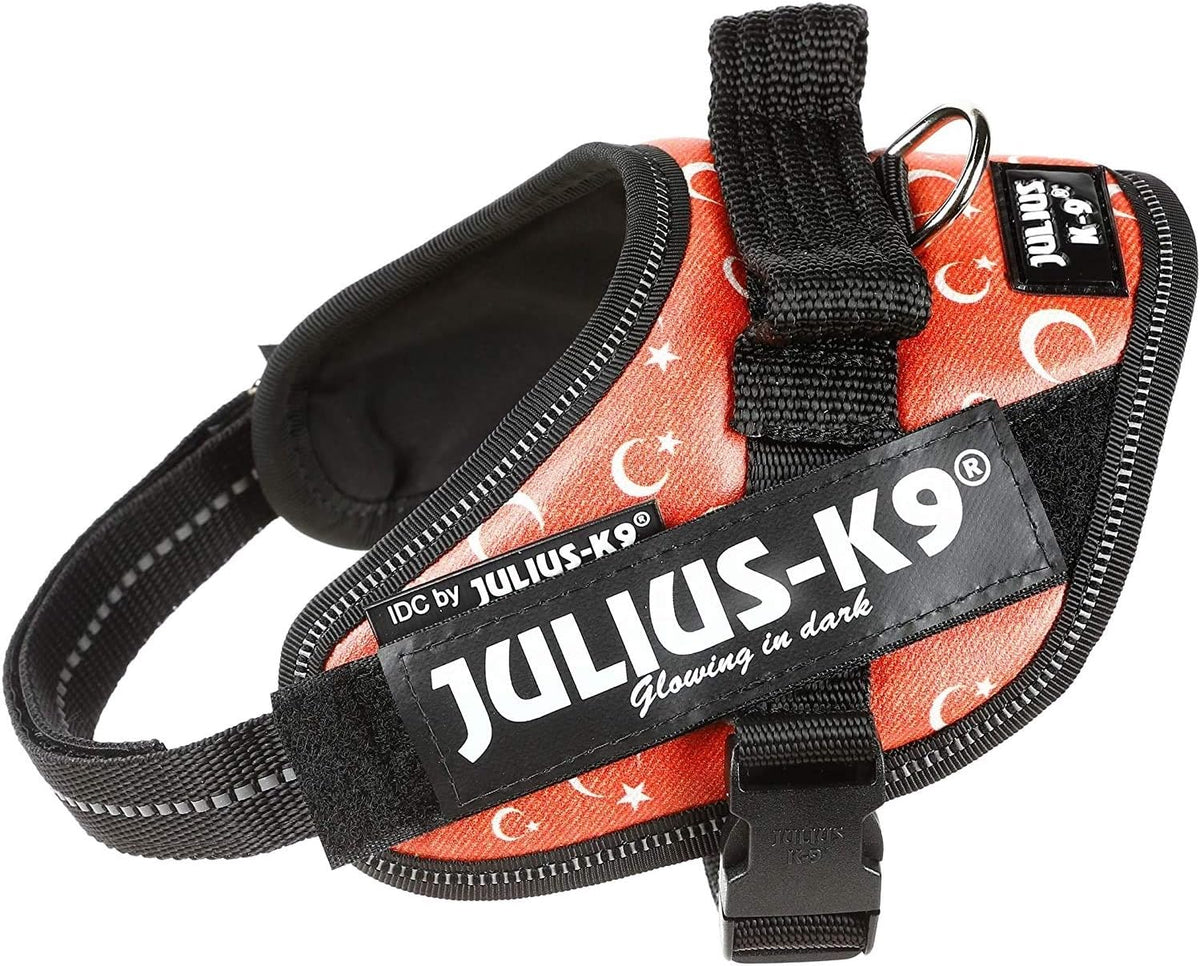 Julius-K9 IDC Powerharness for Small Dogs