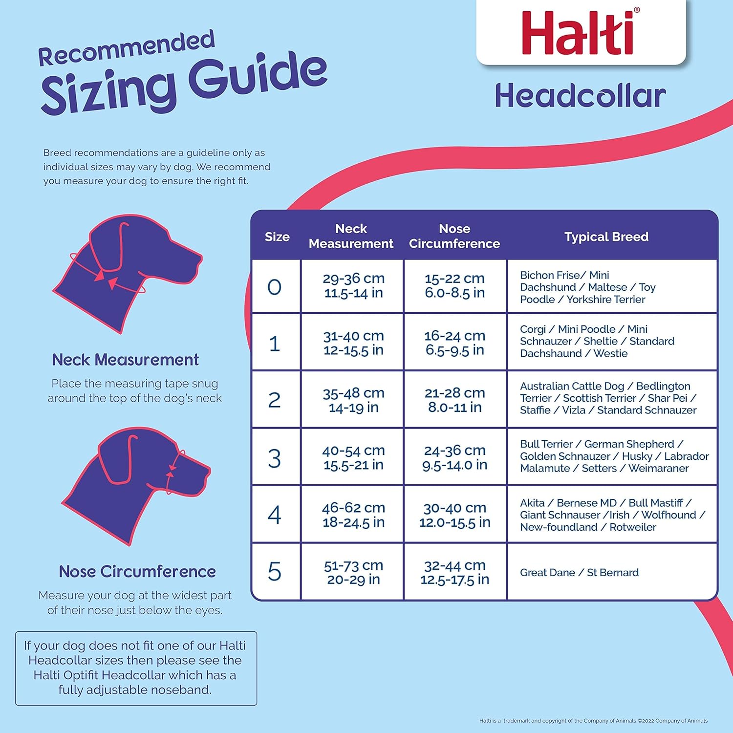 HALTI Headcollar, UK Bestselling Harness to Stop | PetNestUK
