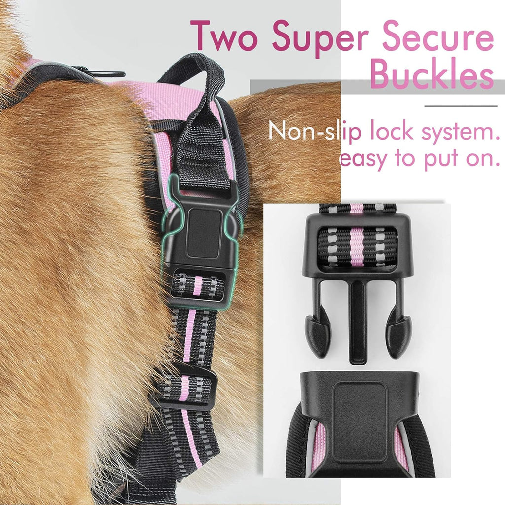 rabbitgoo Padded Dog Harness with Two Lead Clips