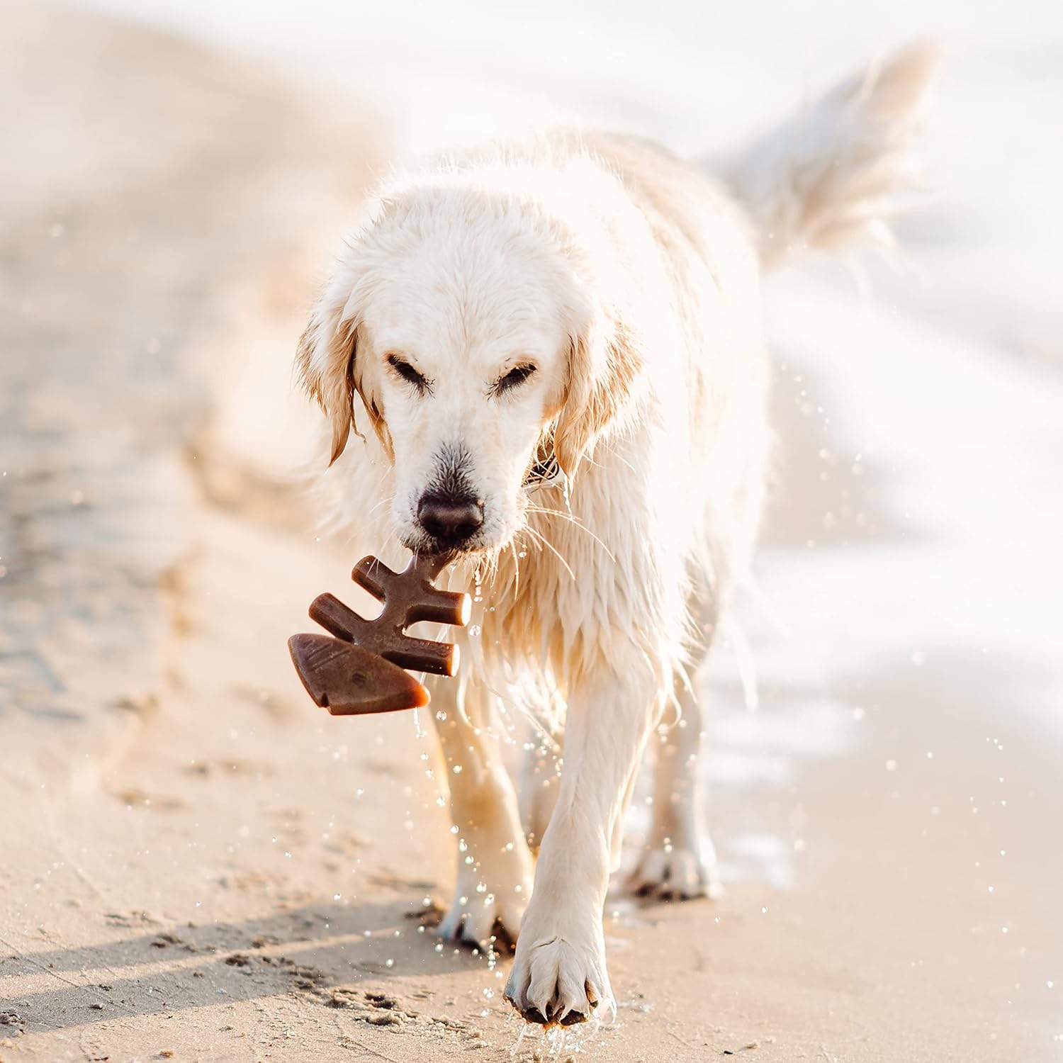 Benebone Durable Dog Chew Toy Box for Aggressive | PetNestUK