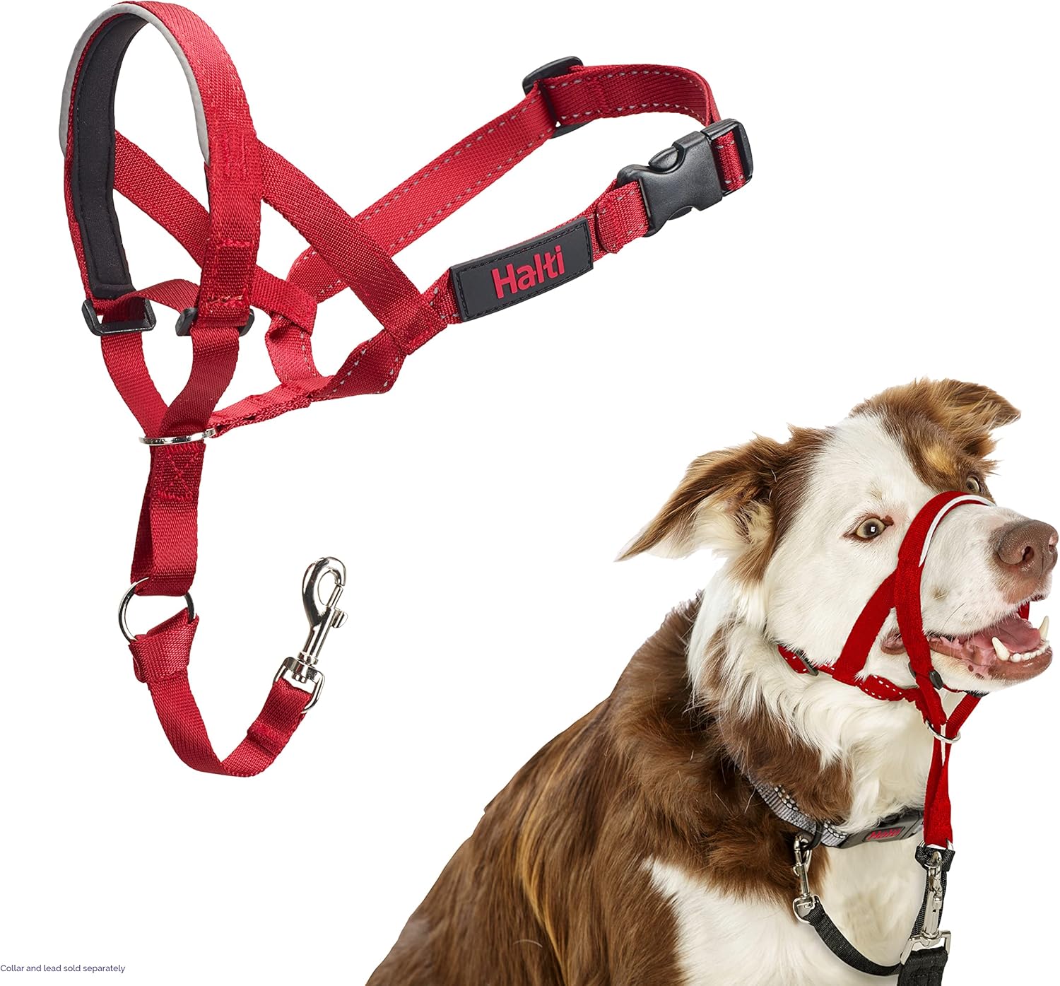 HALTI Headcollar, UK Bestselling Harness to Stop | PetNestUK