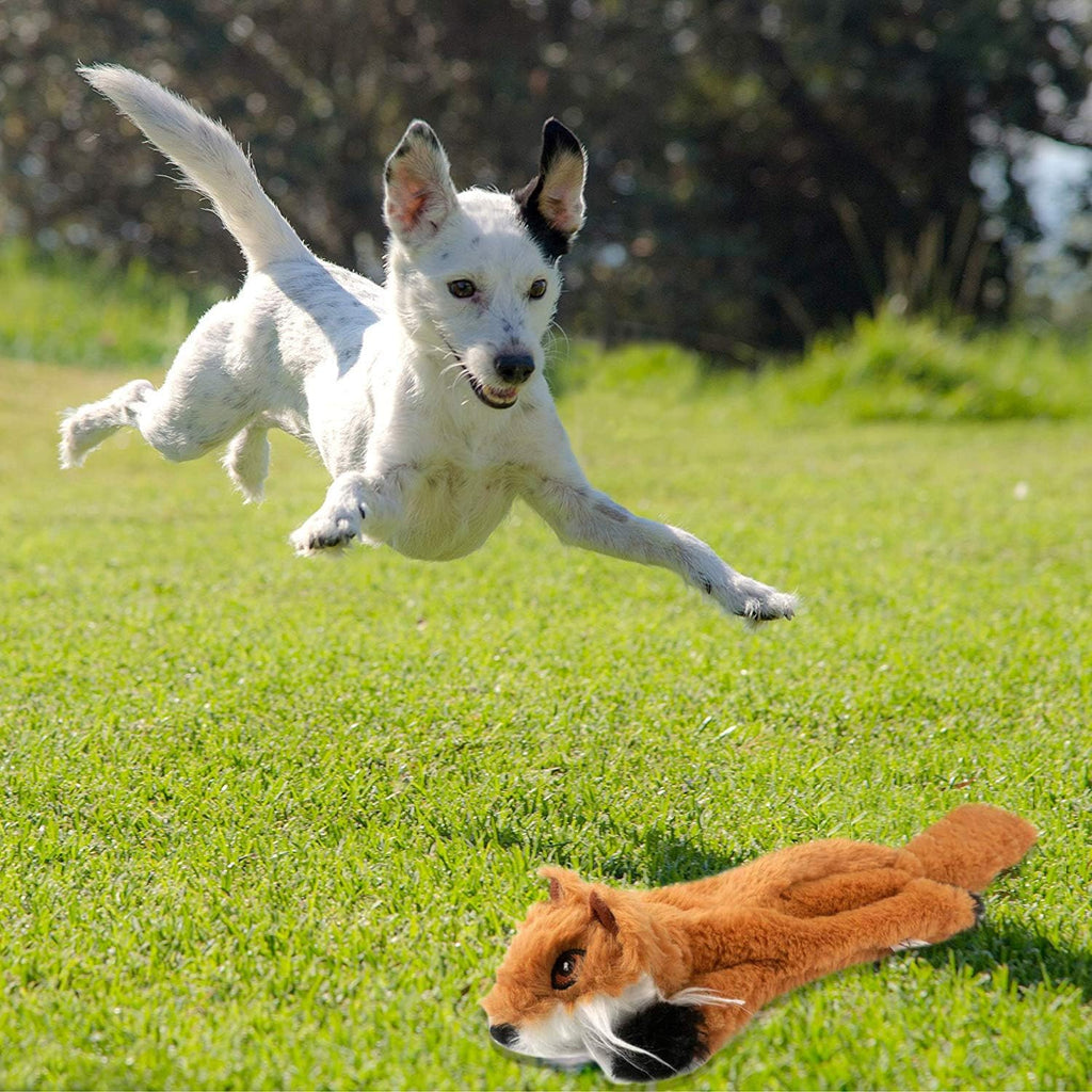 Newthinking No Stuffing Dog Toys, 5 Pack Squeaky | PetNestUK