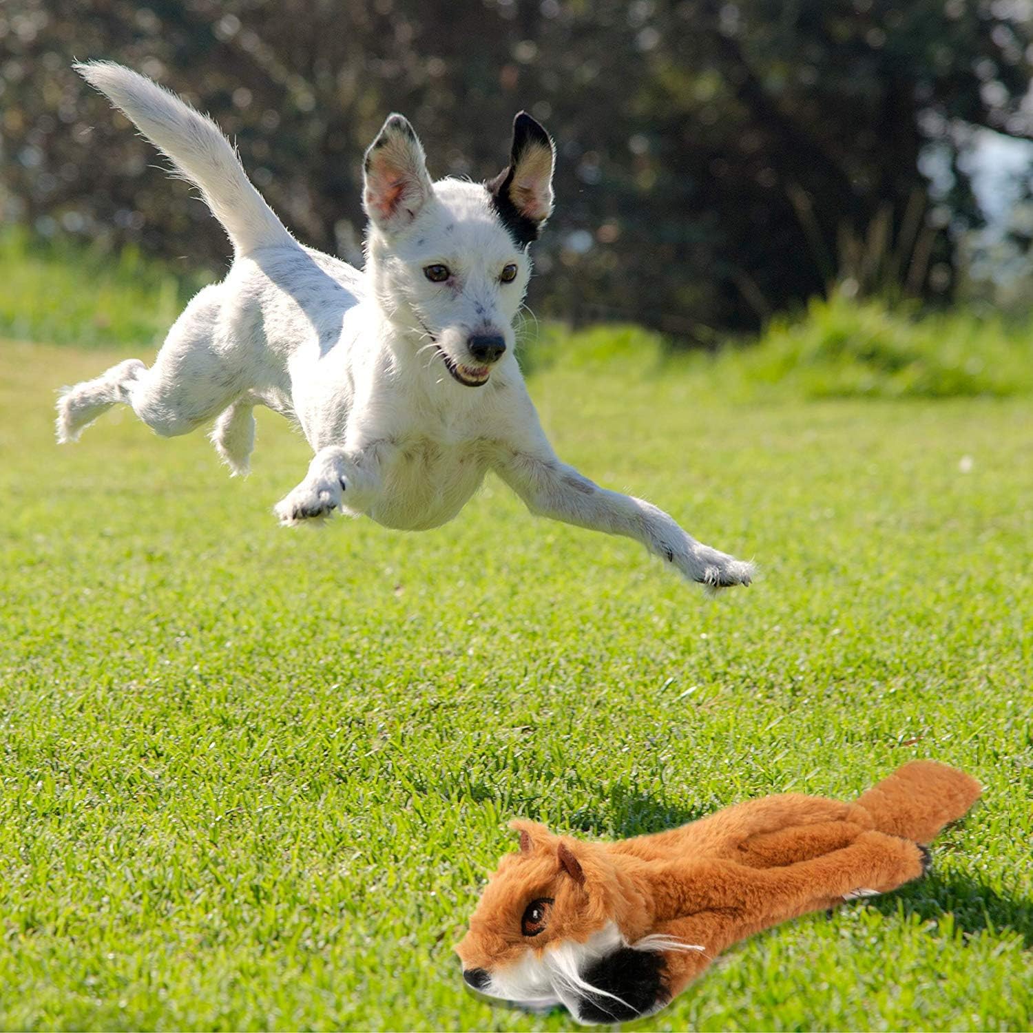 Newthinking No Stuffing Dog Toys, 5 Pack Squeaky | PetNestUK