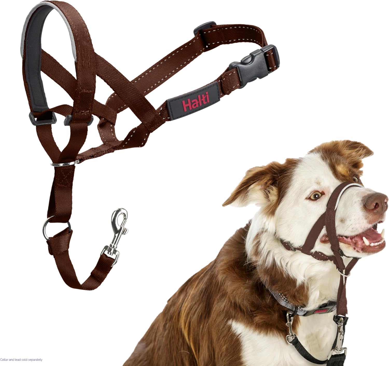HALTI Headcollar, UK Bestselling Harness to Stop | PetNestUK