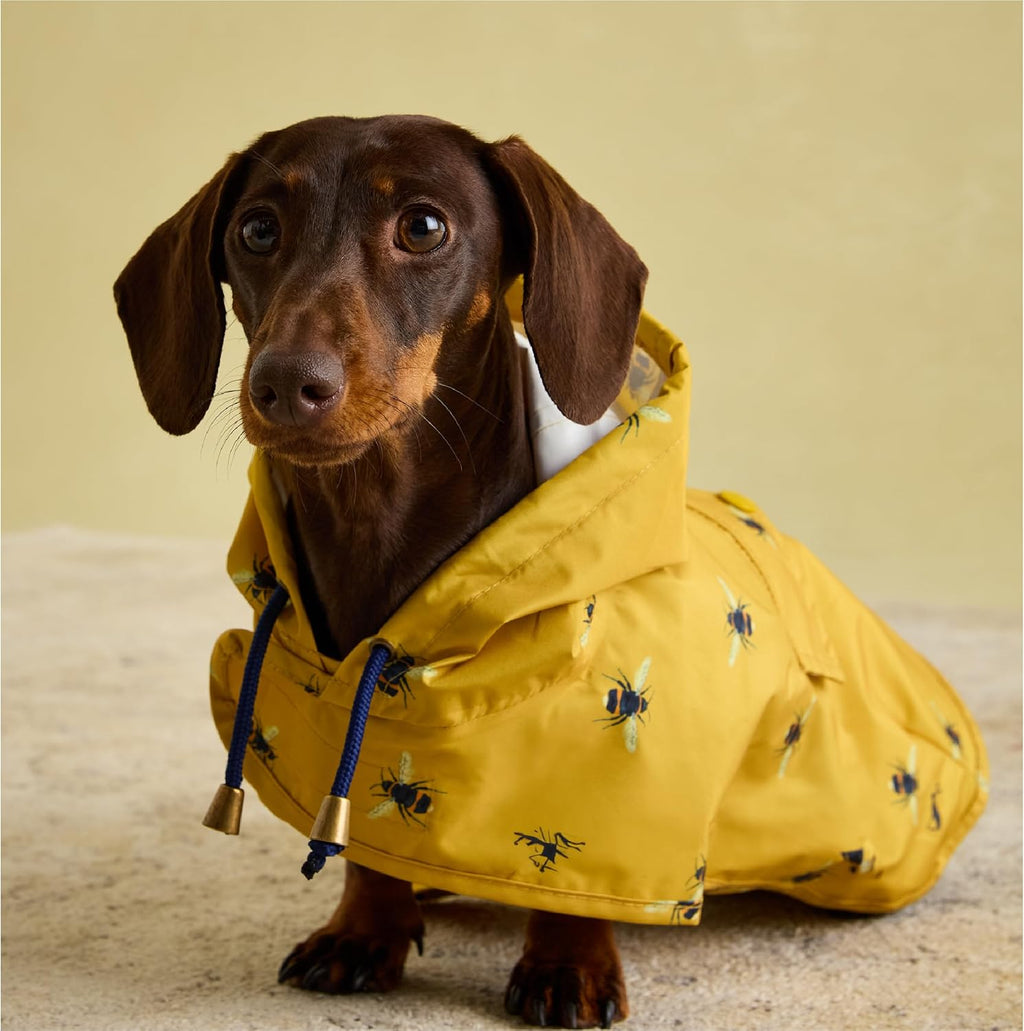 Rosewood Joules Go Lightly Packaway Jacket For | PetNestUK