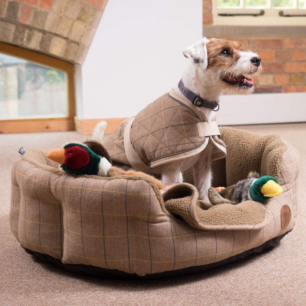 Petface Heston Hedgehog Plush Dog Toy (Pack of | PetNestUK